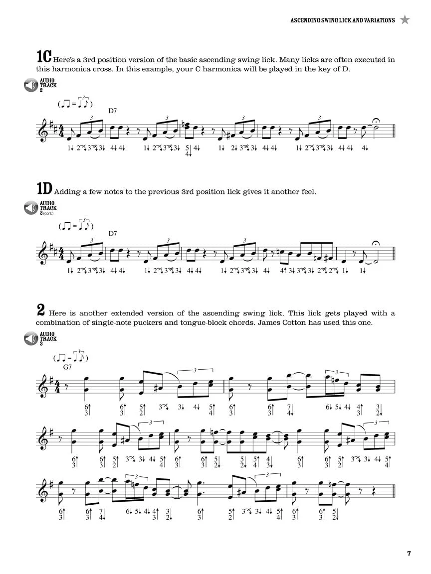 100 Authentic Blues Harmonica Licks Steve Cohen | Harmonica Instructional Book with Online Audio | Learn Blues Harmonica Techniques, Solos, and Riffs | Beginner to Advanced Sheet Music Songbook - Image 5