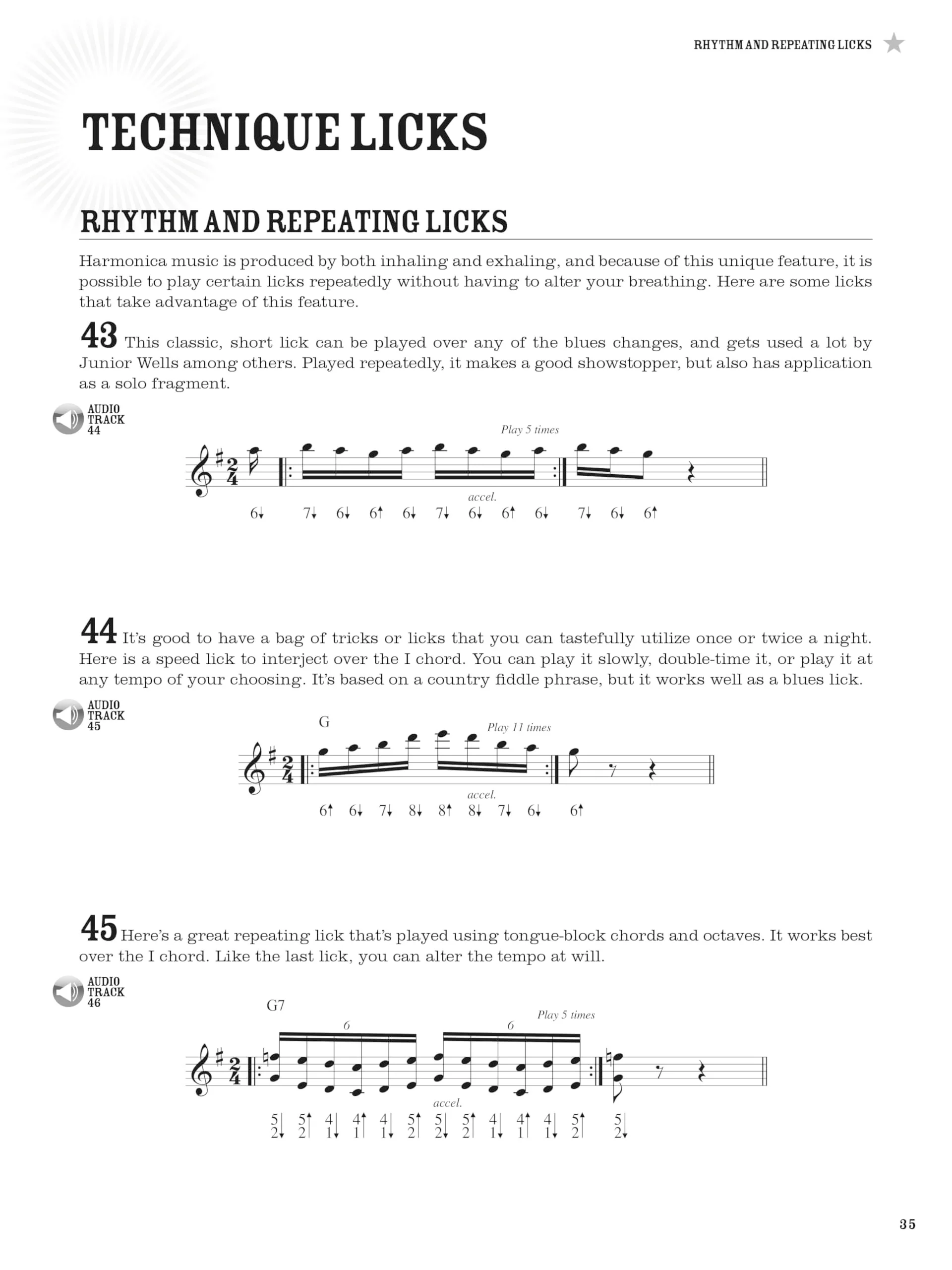 100 Authentic Blues Harmonica Licks Steve Cohen | Harmonica Instructional Book with Online Audio | Learn Blues Harmonica Techniques, Solos, and Riffs | Beginner to Advanced Sheet Music Songbook - Image 6