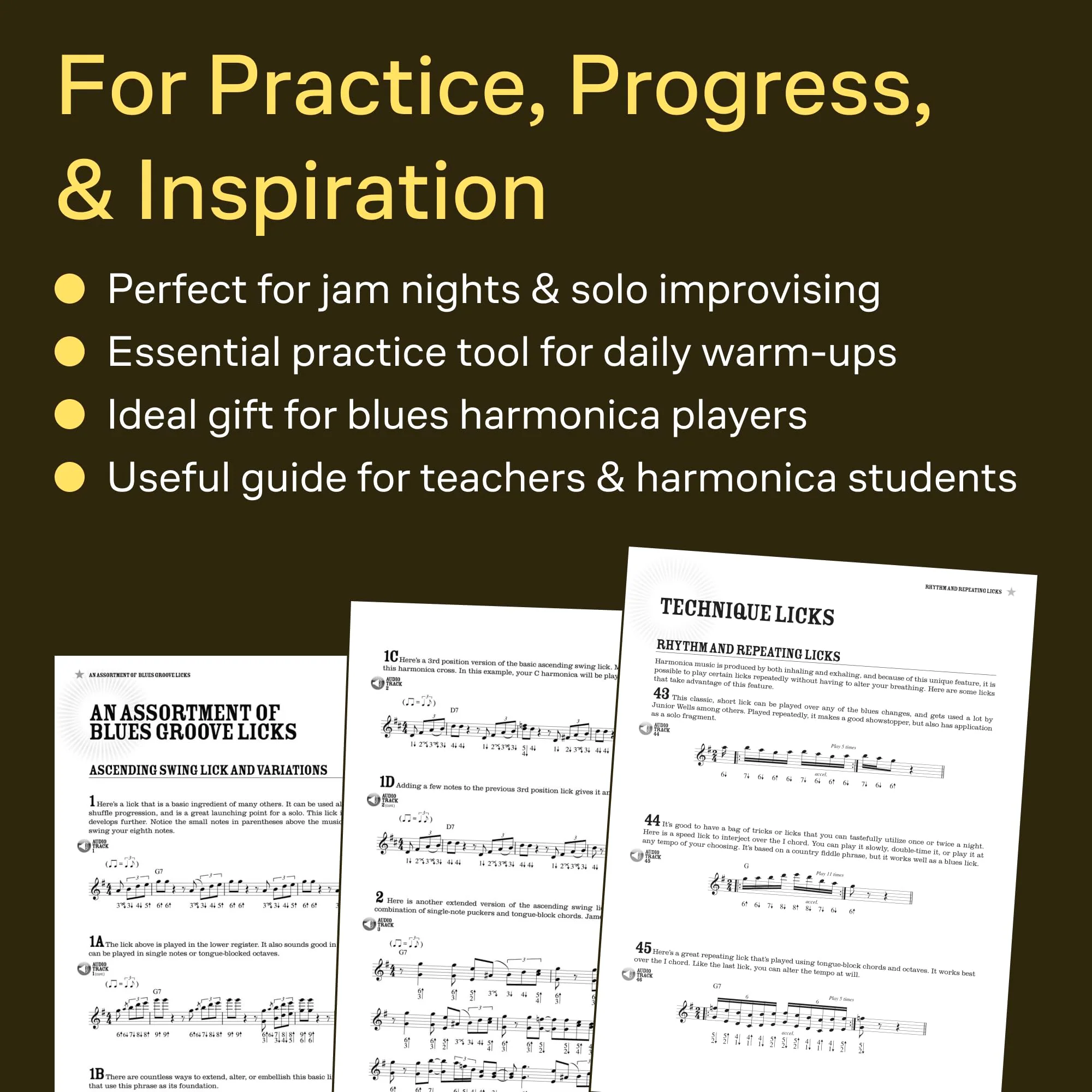 100 Authentic Blues Harmonica Licks Steve Cohen | Harmonica Instructional Book with Online Audio | Learn Blues Harmonica Techniques, Solos, and Riffs | Beginner to Advanced Sheet Music Songbook - Image 9