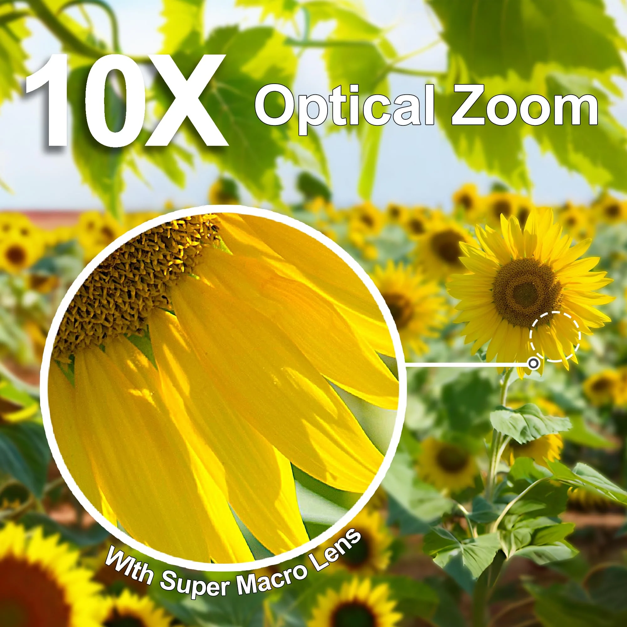 10X Macro Lens for iPhone Android Smartphone, Compatible with SmallRig NEEWER Phone Cage, with Detachable Diffuser Hood, 17mm Thread Universal Phone Lens Clip and Black Portable Bag - Image 3
