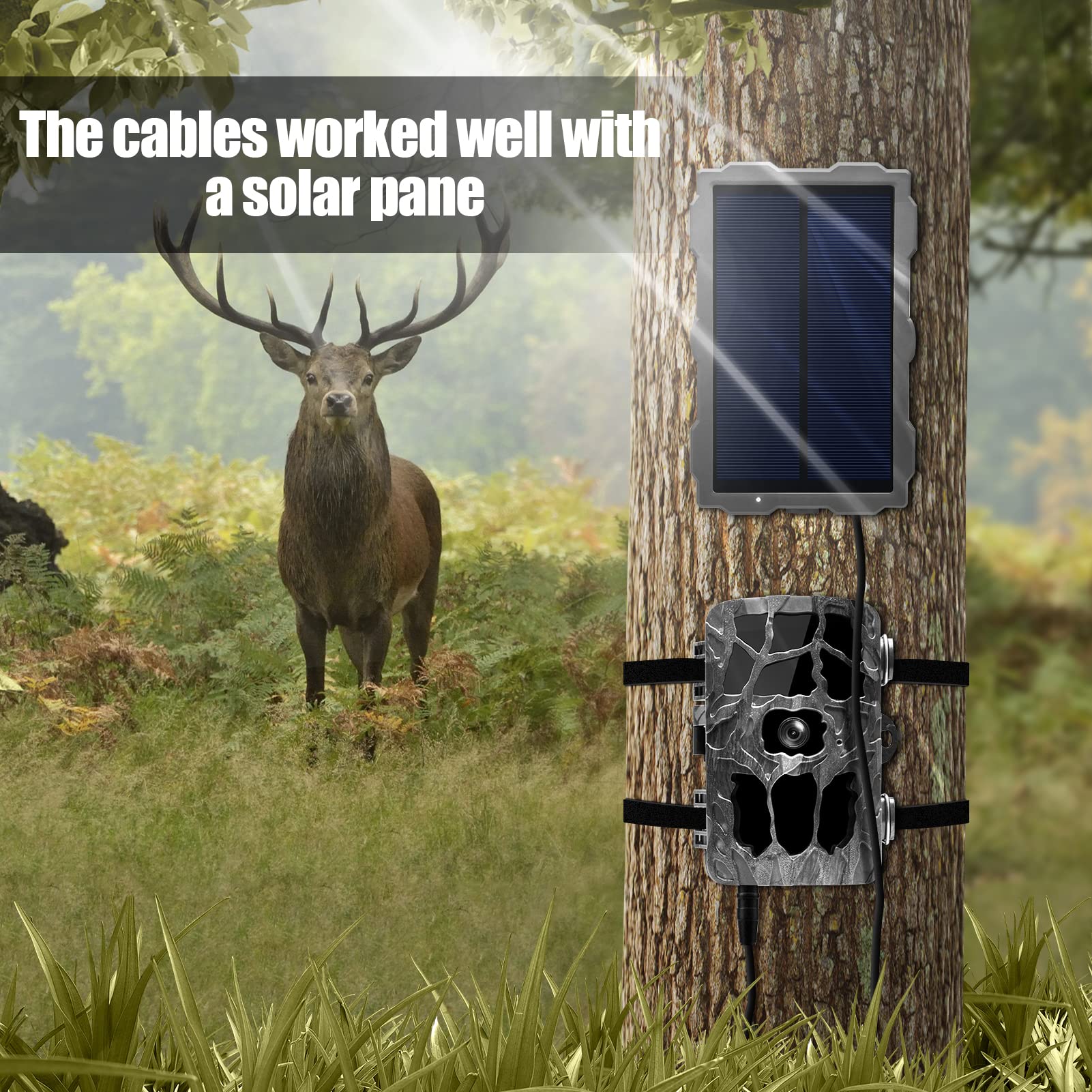 2 PCS Trail Camera Power Cord,4.0x1.7mm DC External Power Cable Compatible with Tactacam Reveal X XB SK,Wise Eye,Covert Cameras, Snyper Cameras, etc. 4.0x1.7mm DC Plug Trail Game Camera 2-pcs 4.0x1.7mm cable - Image 7