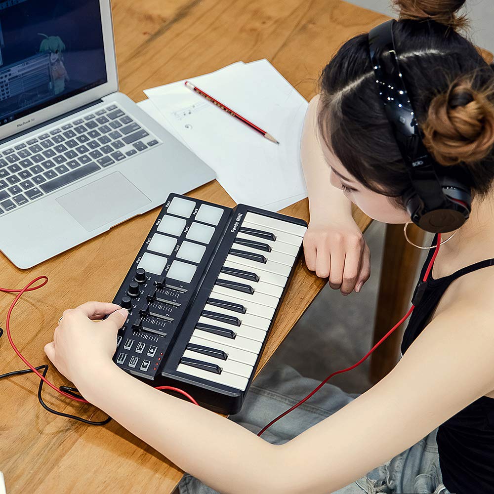 25-Key MIDI Keyboard Panda mini Portable Mini Drum Pad MIDI Controller, USB - Image 8