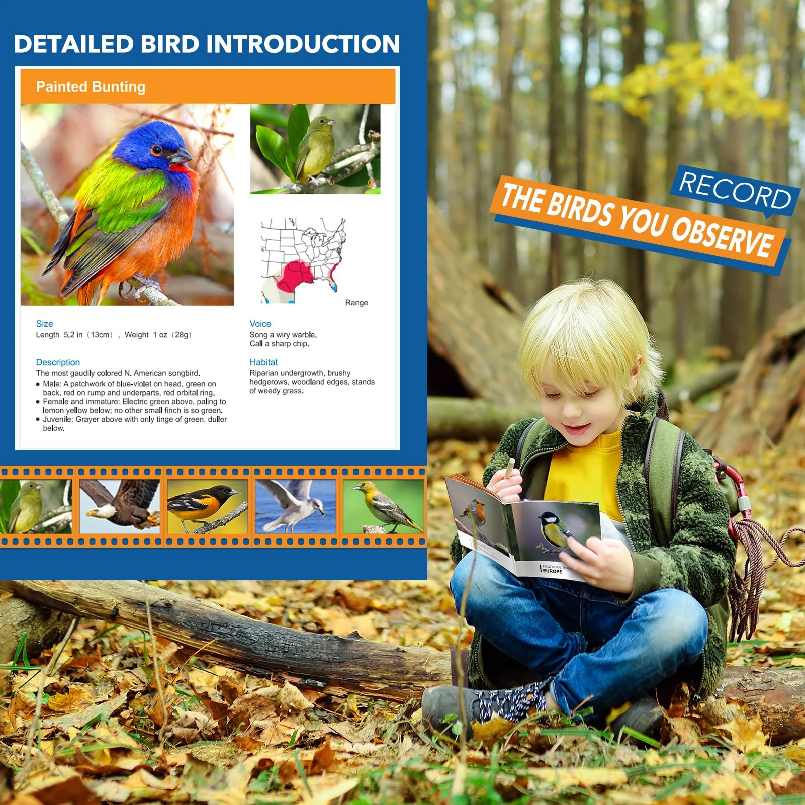 3-8 Year Old Boy Girl Toys: LET'S GO! Shockproof Binoculars for Kids Bird Watching 3 4 5 6 7 Year Old Boys Girls Outdoor Travel Toy for Kid Ages 4-7 Toddler Toy Binoculars Orange - Image 4
