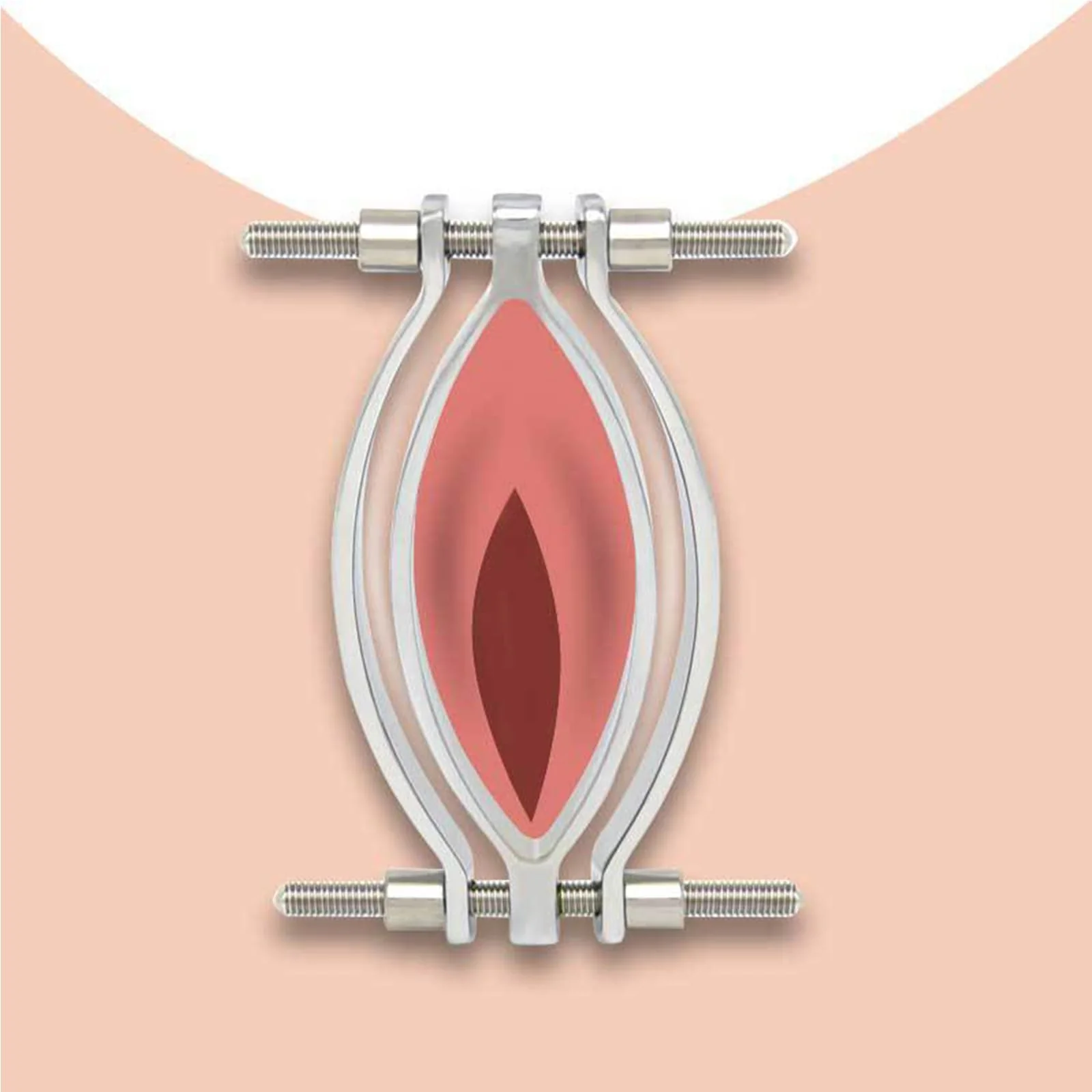 AMAZBEE Labia Spreader for Women Stainless Steel Vaginal Spreader for Speculum Fetish Clitoris Labia Clip for Adults SM Sex Games (1) 1 - Image 2