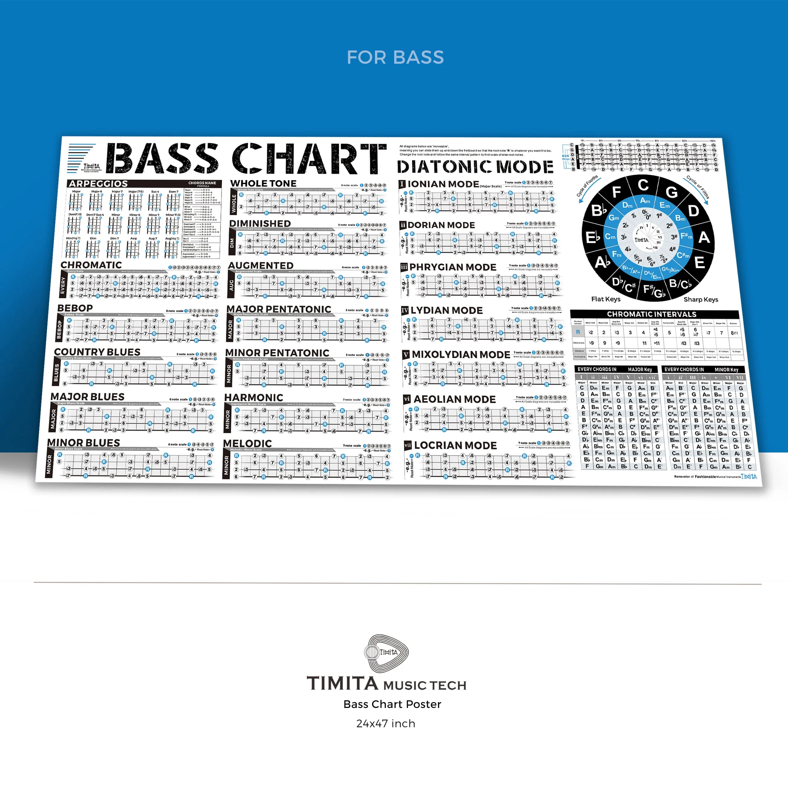 Bass Scales Modes Chart of Pentatonic | Blues | Harmonic Minor | Melodic Minor & Diatonic Mode, Basses Guitar Wall Poster for Beginners Adult or Kid Bass Guitar Poster - Image 6