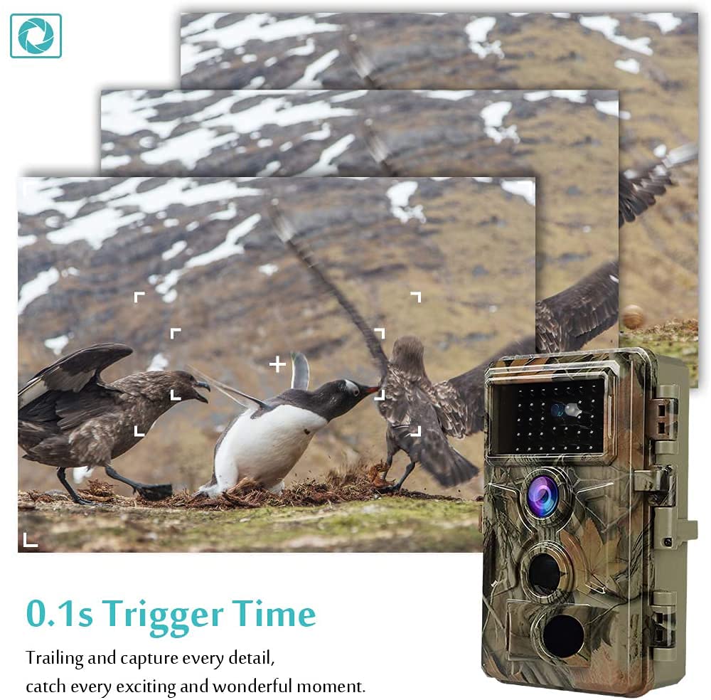 BLAZEVIDEO 32MP 1296P Game & Trail Camera 90ft Night Vision Motion Activated Waterproof Farm & Ranch Field Camera for Outdoor Deer Hunting Tracking & Backyard Surveillance Red-1 - Image 5
