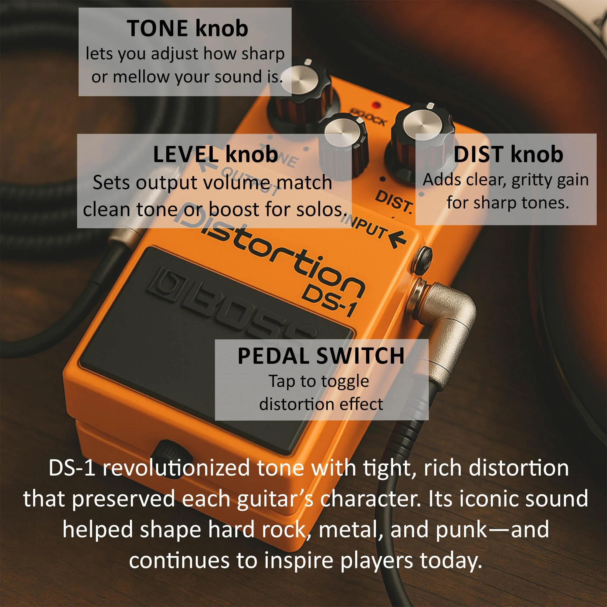 Boss DS-1 Distortion Bundle with Gearlux Power Supply, Instrument Cable, Patch Cable, Picks, and Austin Bazaar Polishing Cloth DS - 1 Bundle w/ Power Supply - Image 5