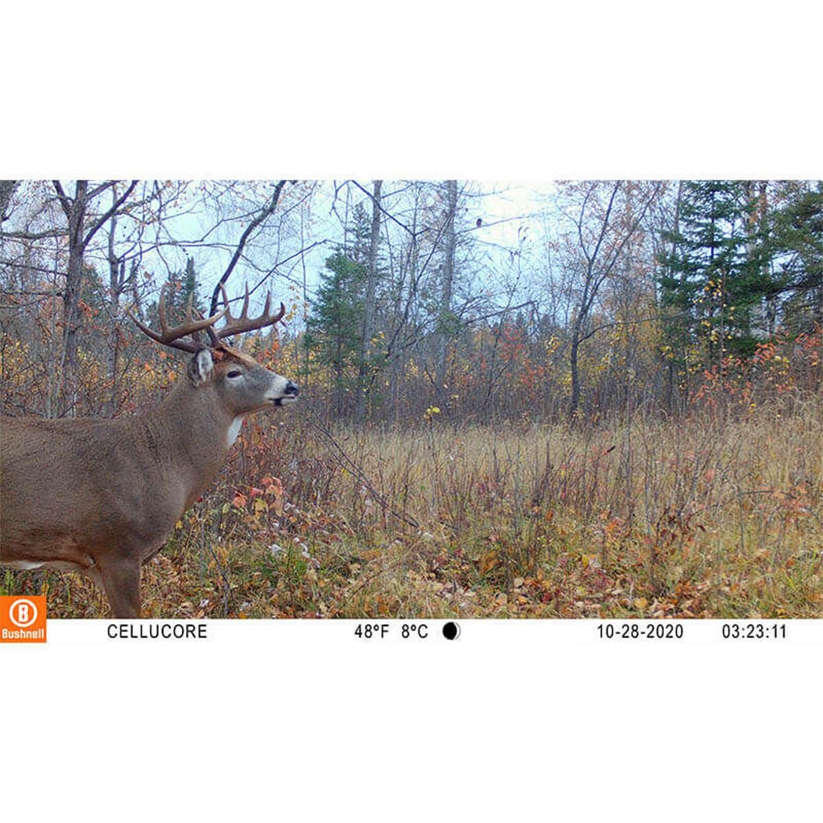 Bushnell CelluCORE 20 Trail Camera for Verizon with Low Glow/80ft Night Range and HD Video Trail Camera Cellular Verizon - Image 7