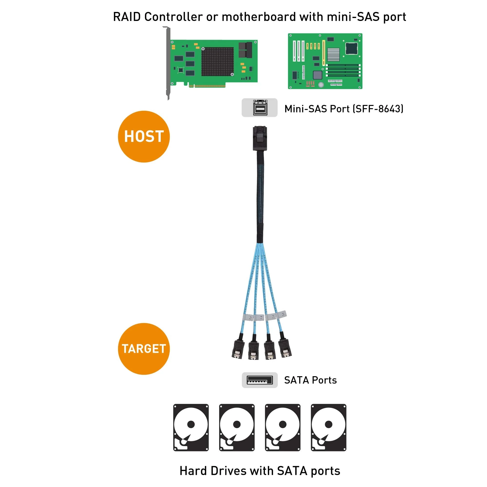 Cable Matters Internal Mini SAS HD to SATA Cable (SFF-8643 to SATA Forward Breakout) 3.3 Feet, 1m - Image 6