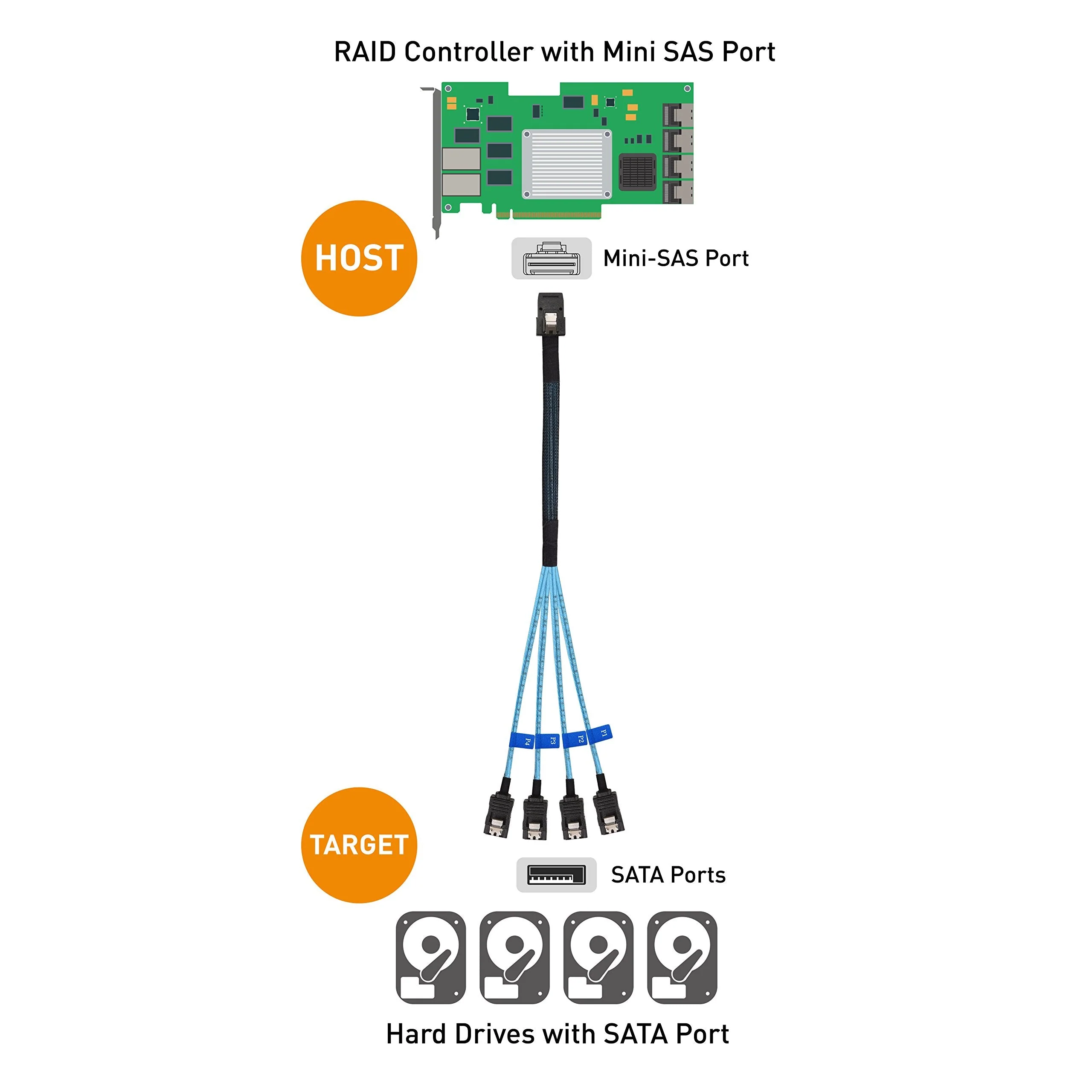Cable Matters Internal Mini SAS to SATA Cable (SFF-8087 to SATA Forward Breakout) 1.6 Feet - Image 7