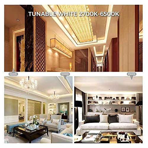 CCT COB LED Strip Light 16.4ft, Tunable White Warm White to Cool White LED Strip, 608LEDs/M DC24V Tape Light, CRI90+, Bluetooth App Control, Dimmable Strips for Bedroom, Office, DIY Lighting. 2700K-6500K - Image 7