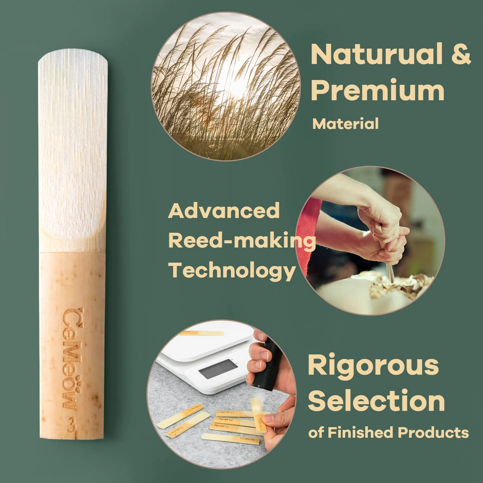 Clarinet Reeds 2.5, CeMeow Traditional Reeds for Clarinet Beginner 10Pack with Plastic Box, Thinner Reed Tip Advanced Cutting Technology for Clarinet Beginner and Player Strength 2.5 - Image 3