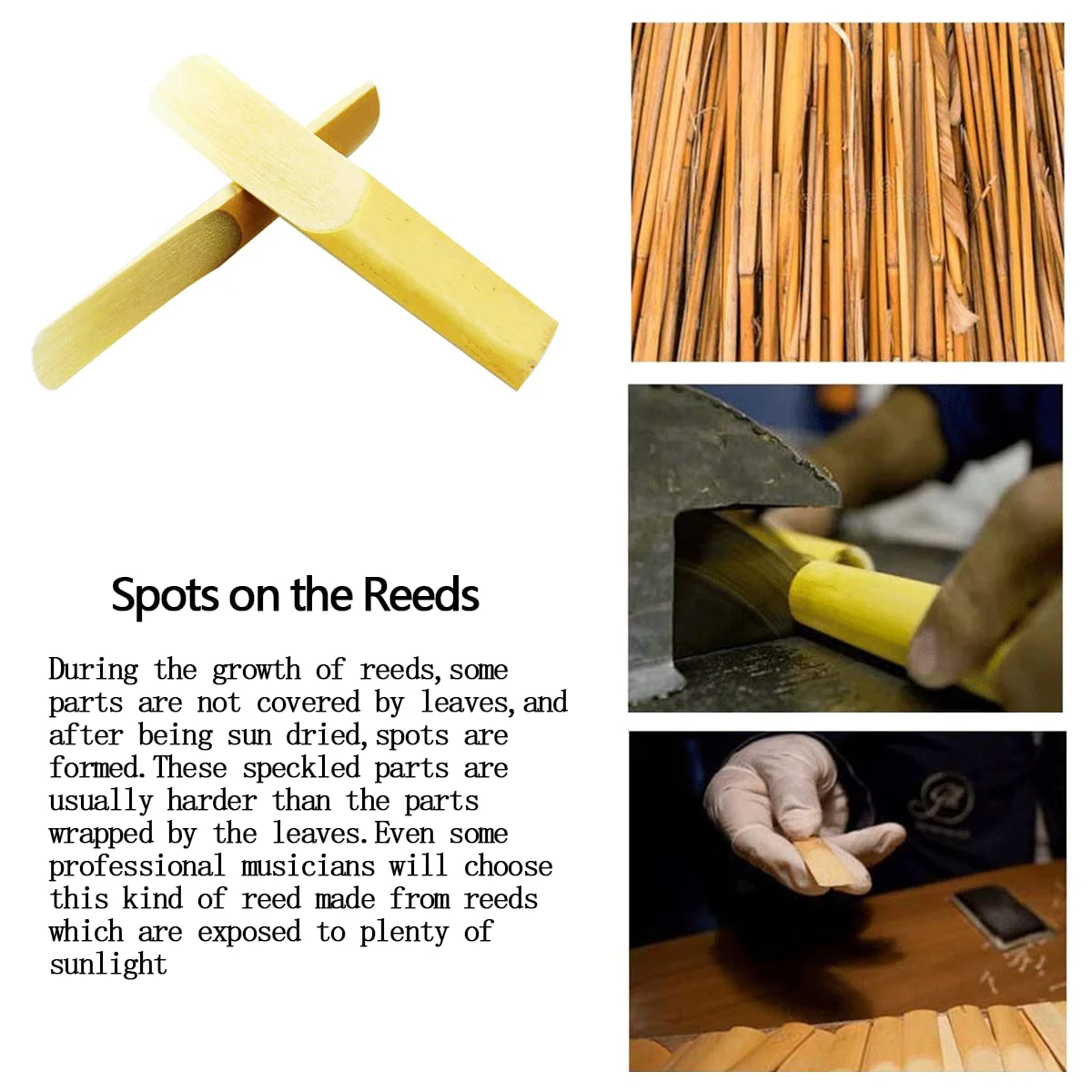 Clarinet Reeds 2.5 Strength 30pcs - Image 7