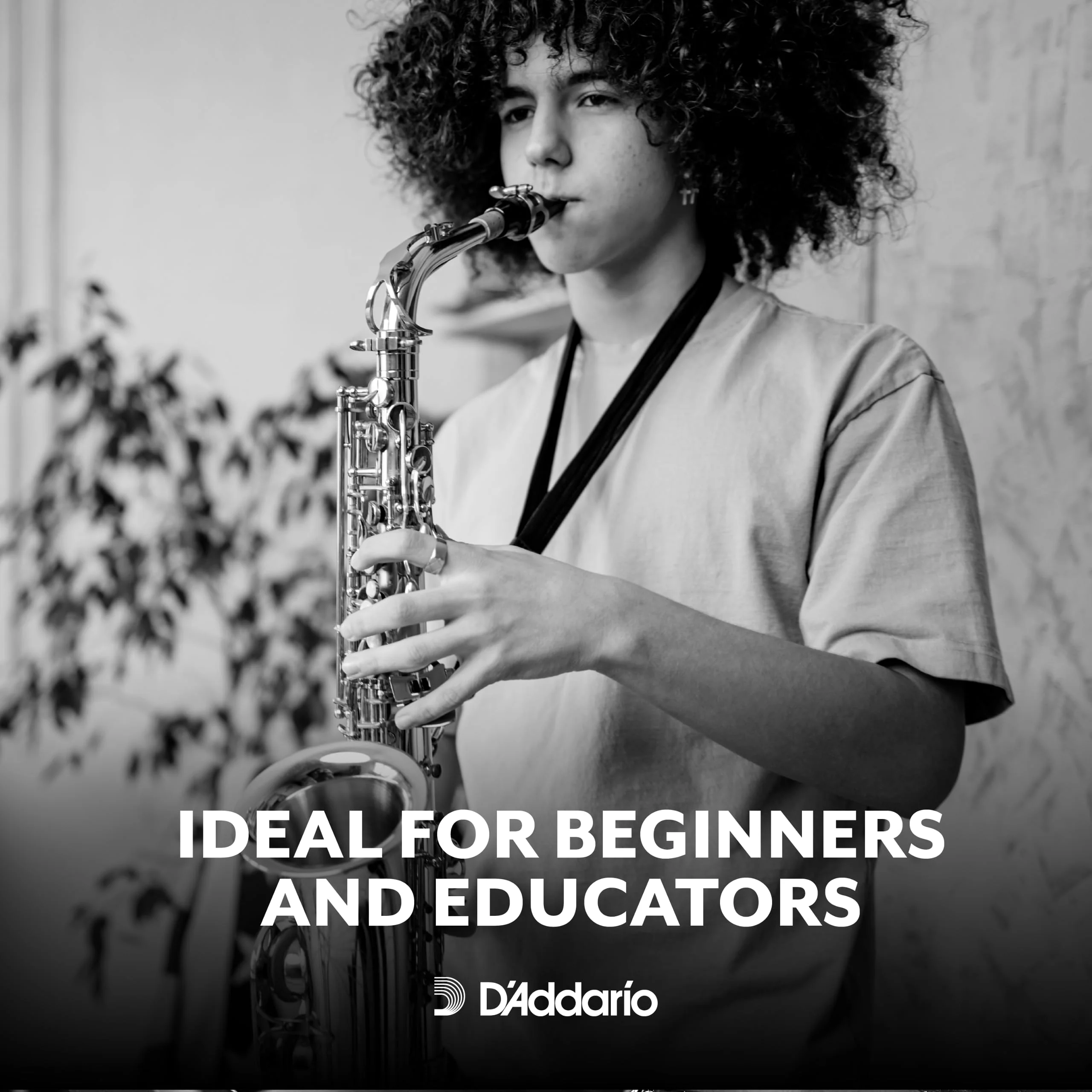 D’Addario Woodwinds - Rico Soprano Sax Reeds - Soprano Saxophone Reeds - Soprano Reeds Crafted for Beginners, Students, Educators - Strength 1.5, 3-Pack - Image 2