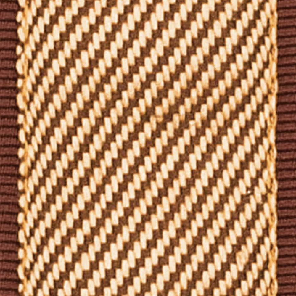 D'Addario 50MM Planet Lock-Tweed (50PLB06) Tweed - Image 4