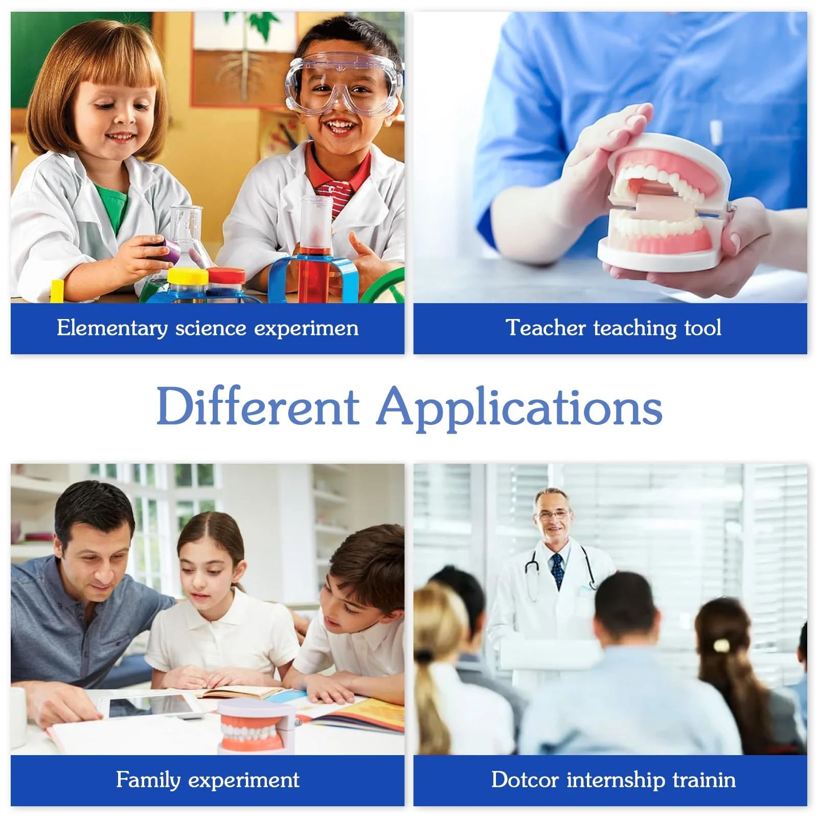 Dental Model with Dentures Toothbrush, Standard Teeth Model for Brushing, Dentures Mouth Model, Demonstration for Children, Dental Teaching Tools, Learning Accessories - Image 5