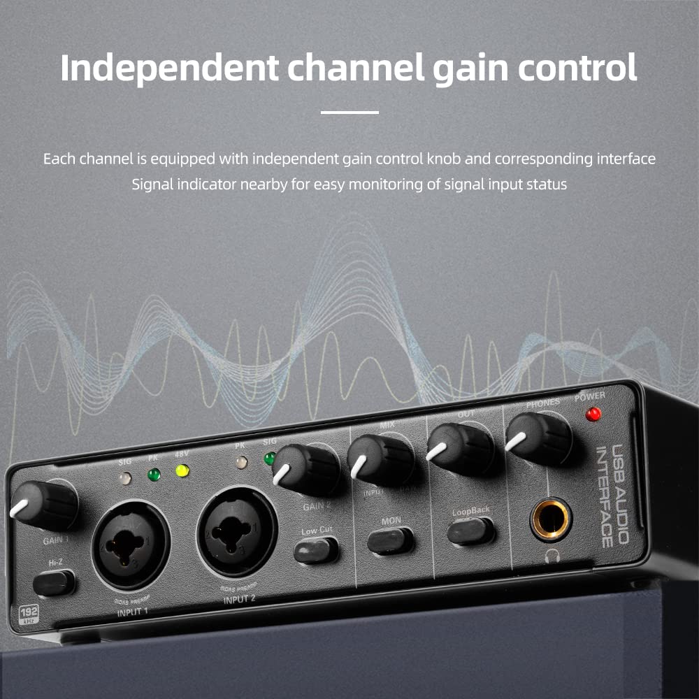 Depusheng RX2 usb audio interface computer recording sound card, home studio audio interface, can connect 48V condenser microphone, guitar recording - Image 3