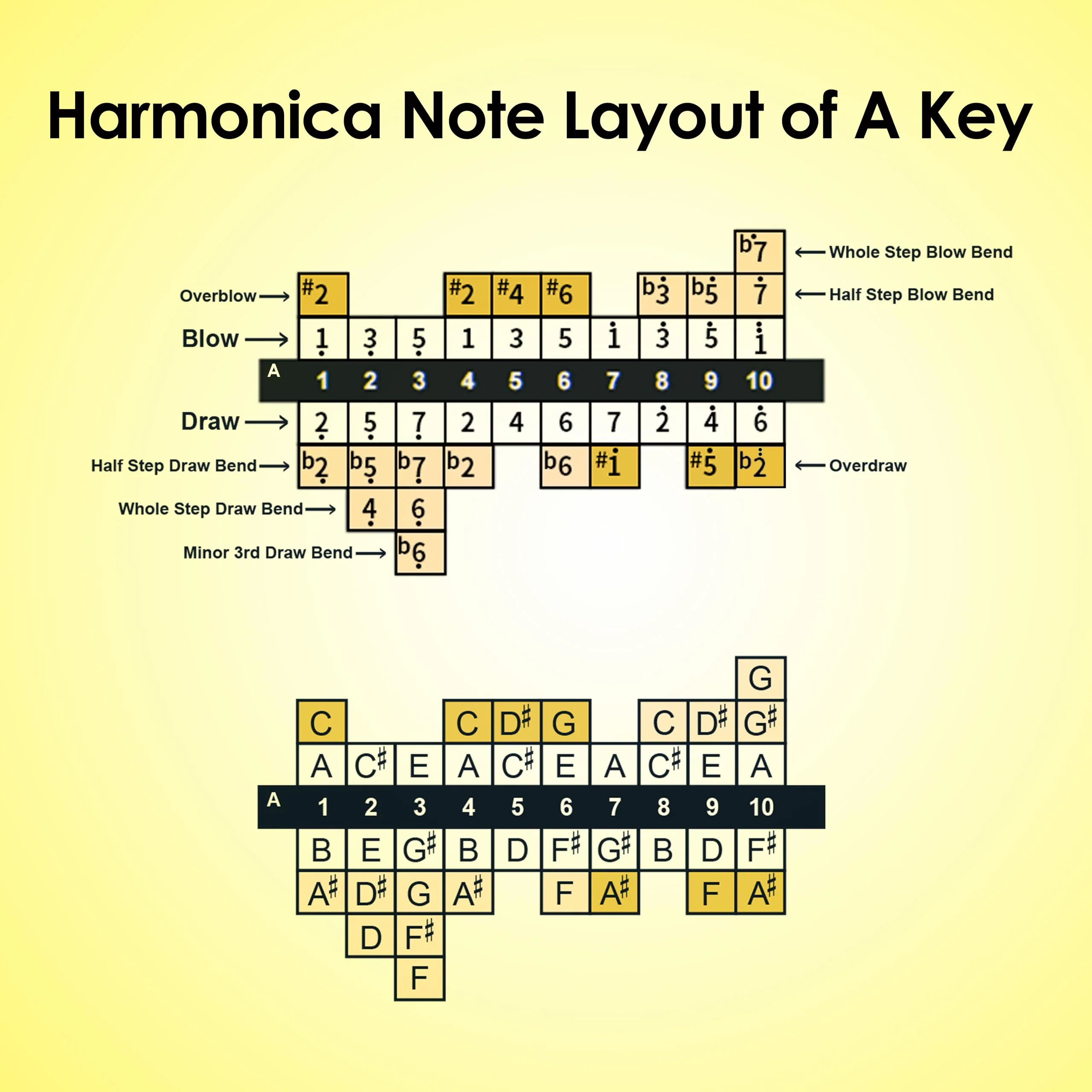 Diatonic Harmonica of A Key,Blues Mouth Organ 10 Holes 20 Tones, Reed of Phosphor Bronze, ABS Combo, Easy-Clean Cover,10 Holes Blues Harp for Adult, Beginner Diatonic Black A Key - Image 5