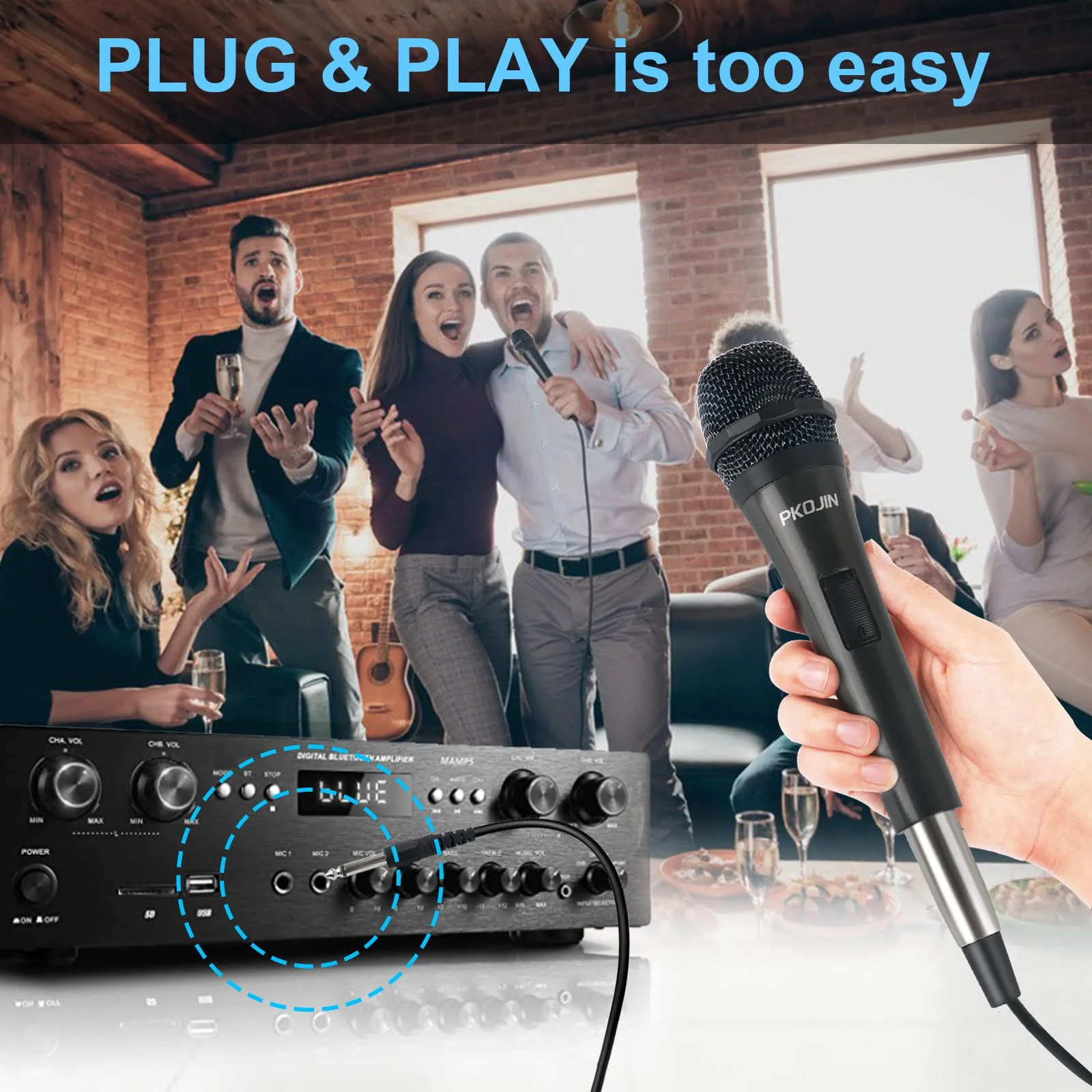 Dynamic Karaoke Microphone for Singing, Vocal Wired Microphone for Karaoke, Handheld Mic with 10 Ft Cable, Mics for Speaker with ON/Off Switch - Image 5