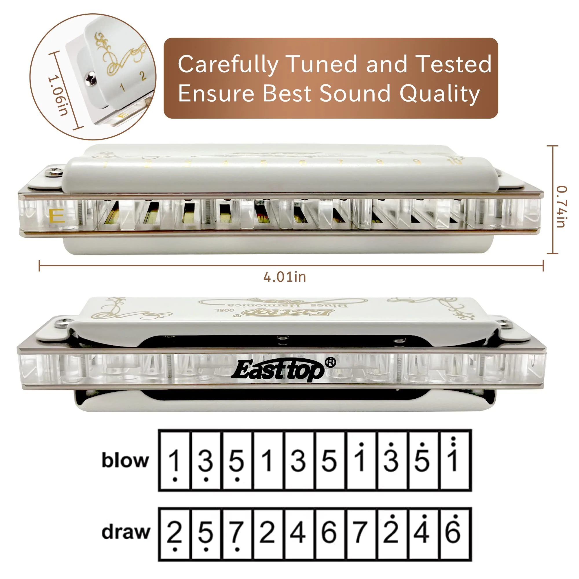 East top Blues Harmonica, 10 Holes 20 Tones Diatonic Blues Mouth Organ Harmonica Key of E with White Cover, T008L Harmonica for Adults, Professionals and Students - Image 4