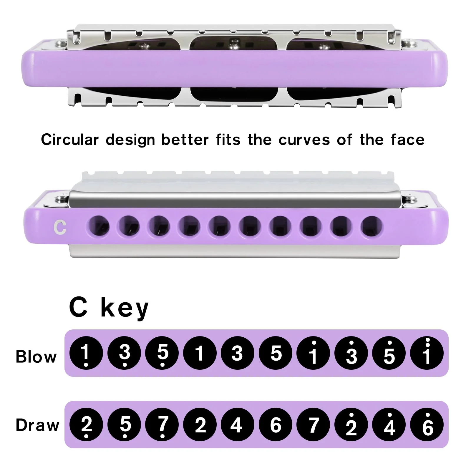 EASTROCK 10 Holes Blues Harmonica Key of C Mouth Organ with Case has Explosive Power For Adults Professionals Beginners CB05 Purple - Image 4