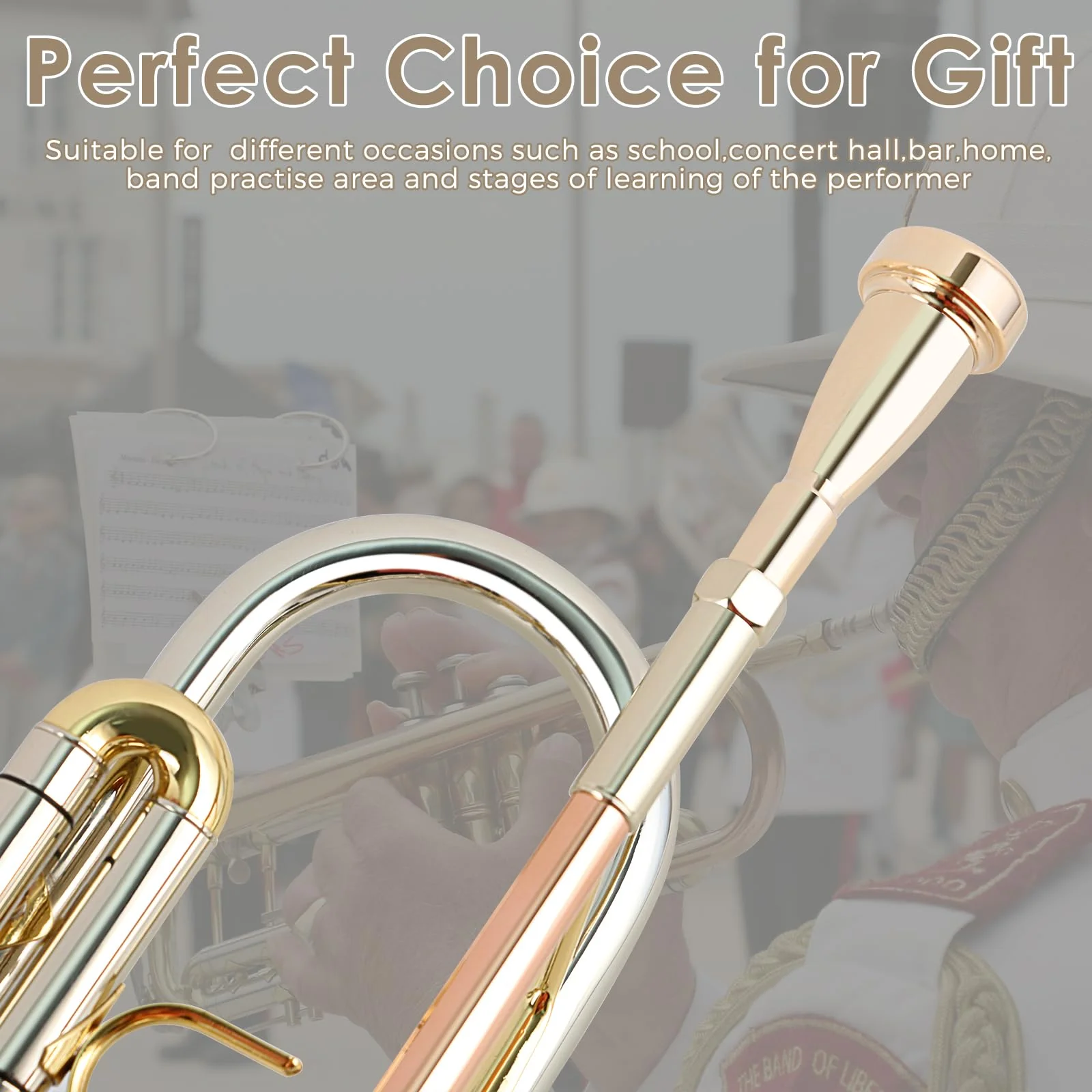 EASTROCK Trumpet Mouthpiece 3C Gold Plated Bullet Shape Vaccum Package 3C-Z - Image 6