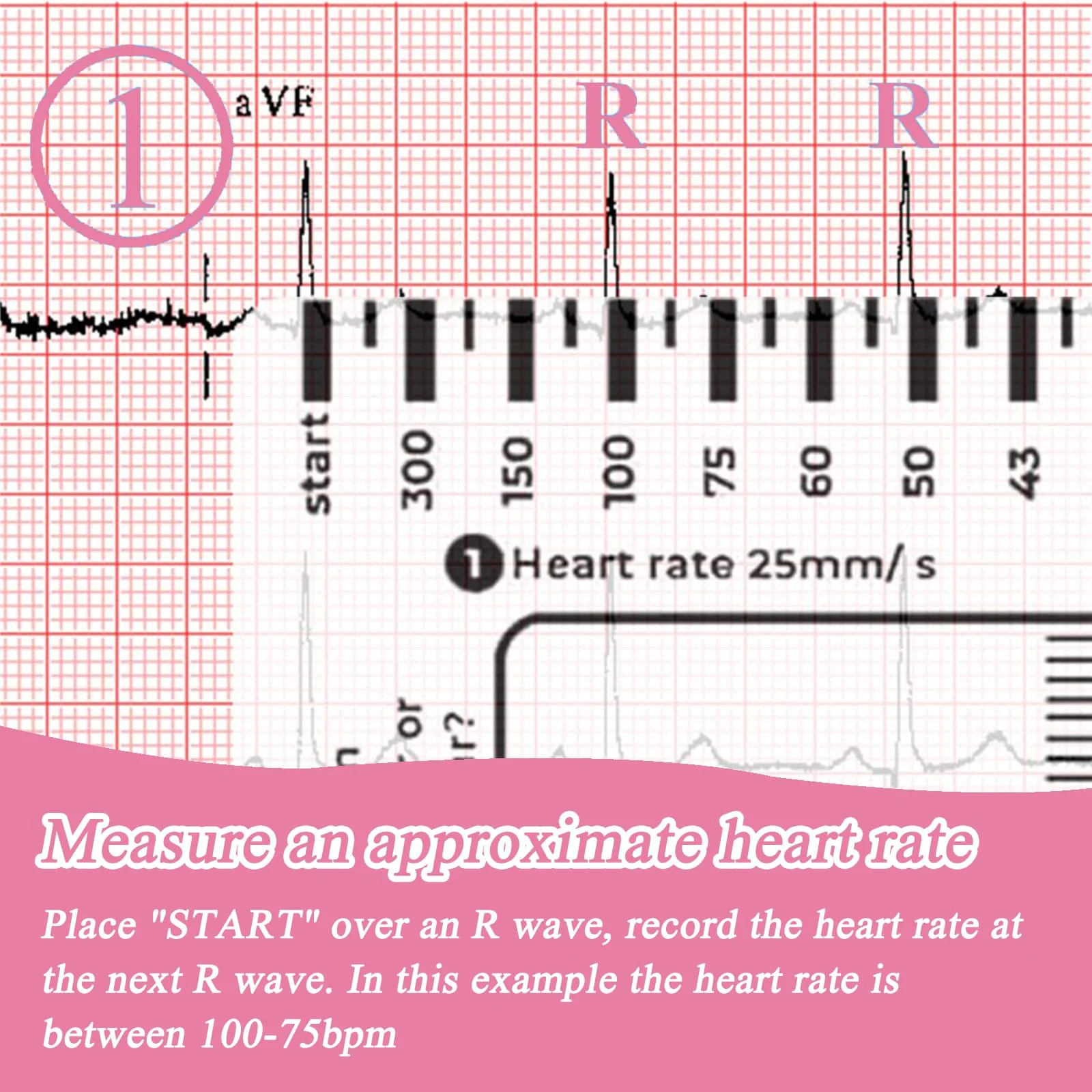 Ecg 7 Step Ruler, Ecg/Ekg 7 Step Ruler Card, Portable Ecg Ruler Plastic Ruler Measuring Tool, Provides Data Support, Wear-resistant and Durable, Suitable for Doctors, Medical Students, etc. - Image 3