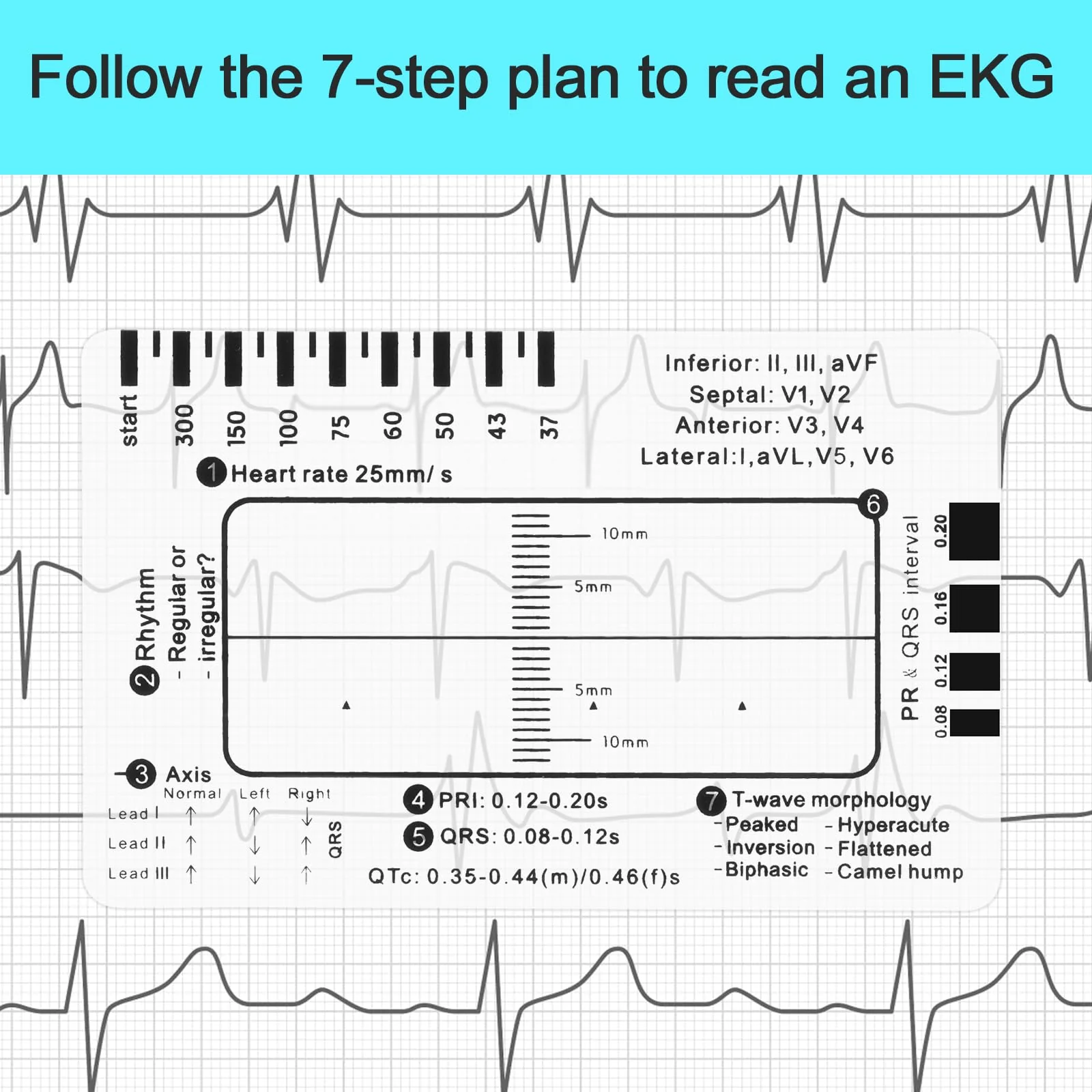 ECG 7 Step Ruler, Portable ECG Assessment Tool ECG/ECG 7 Step Ruler Card for ECG/ECG Interpretation ECG Ruler Plastic Ruler Measuring Tool ECG ECG Card Ruler ECG Reference Guide with Protect Sheath - Image 2