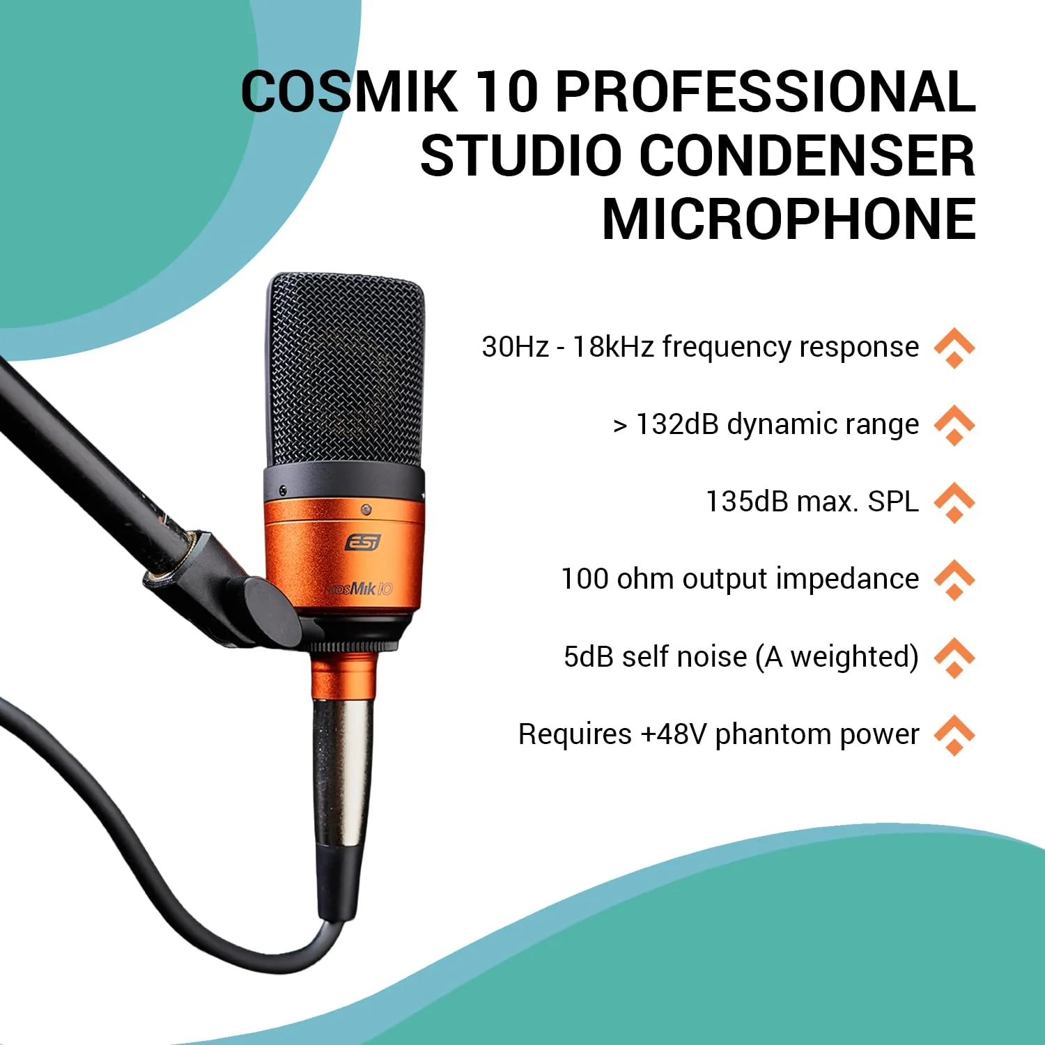 ESI cosMik 10 Studio Condenser Mic: Cardioid, Low Noise, Ideal for Vocals, Instruments, Streaming, with Stand & Cable cosMik 10 XLR Microphone - Image 3