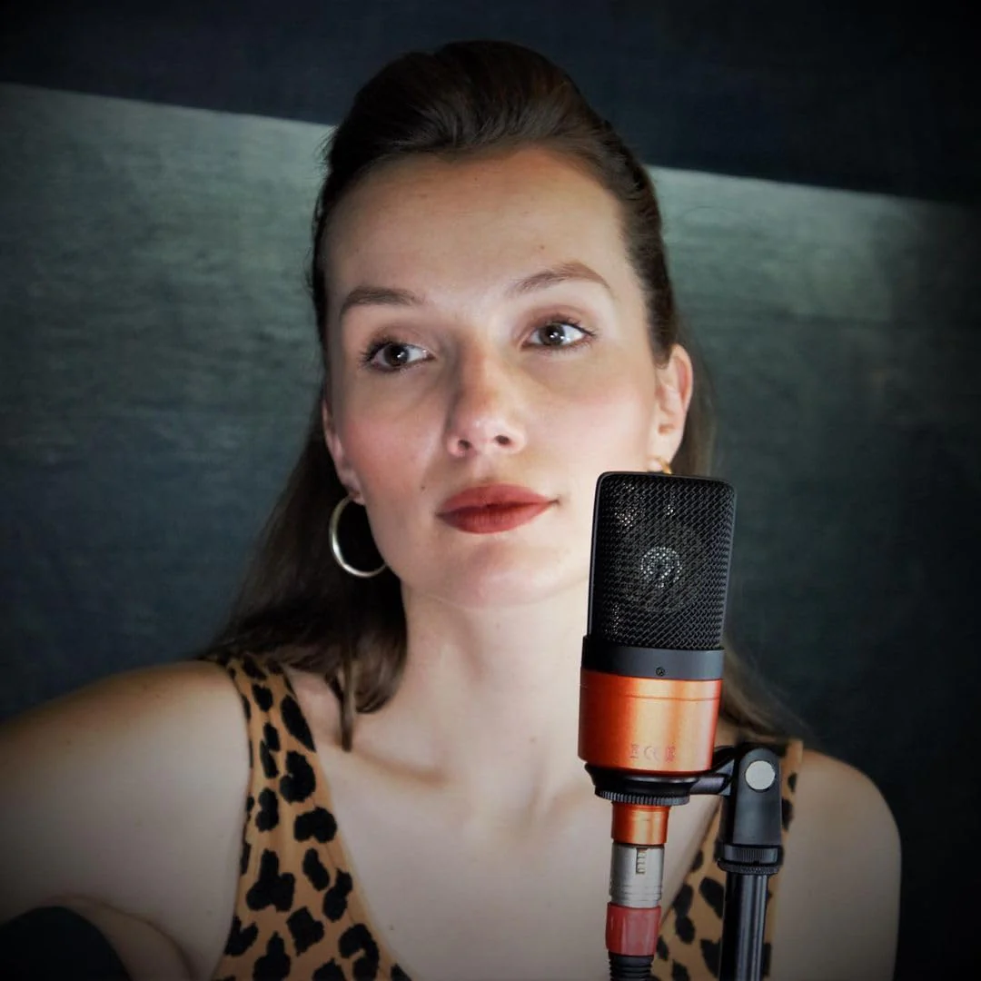 ESI cosMik 10 Studio Condenser Mic: Cardioid, Low Noise, Ideal for Vocals, Instruments, Streaming, with Stand & Cable cosMik 10 XLR Microphone - Image 6