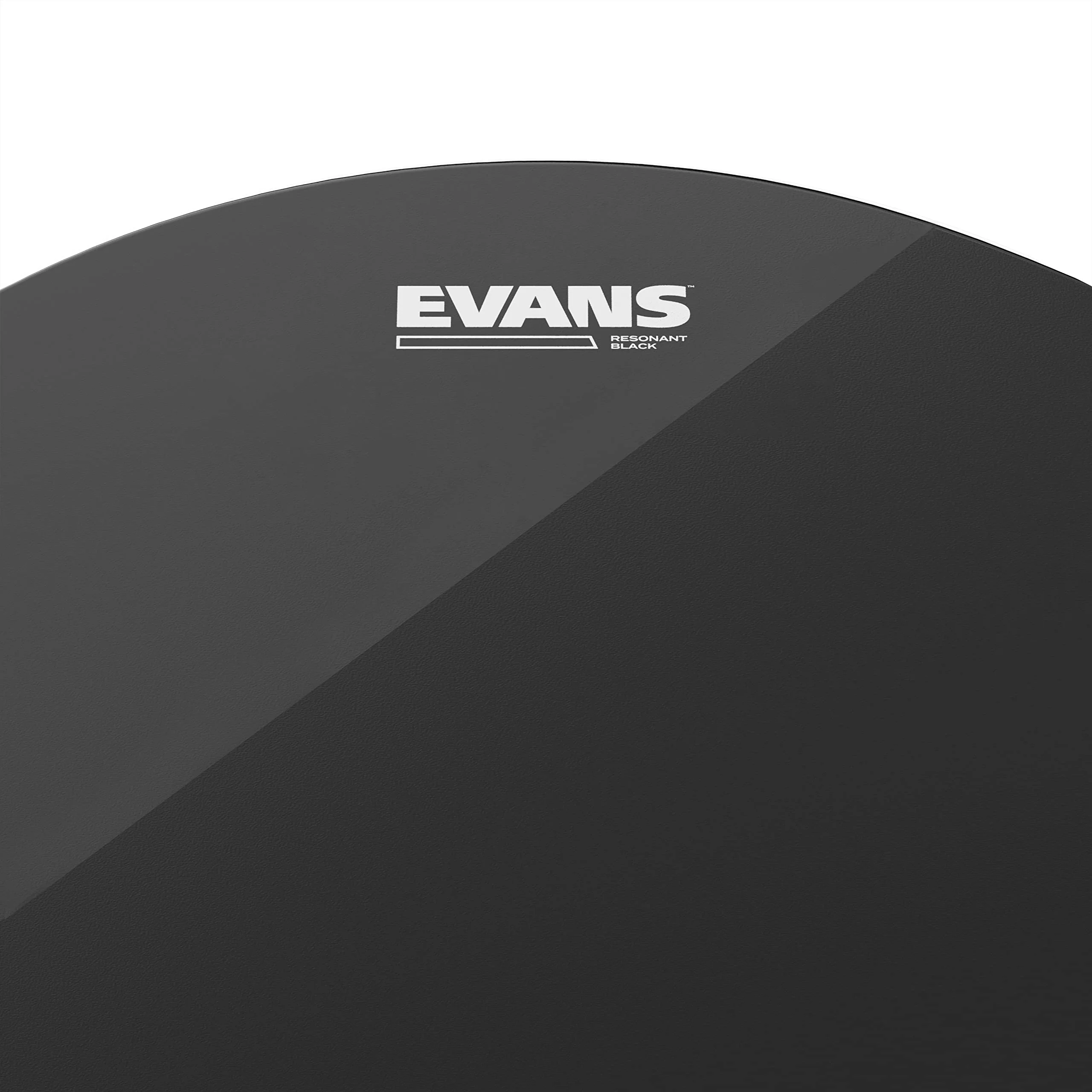 Evans Resonant Black Drum Head, 10 Inch - Image 2