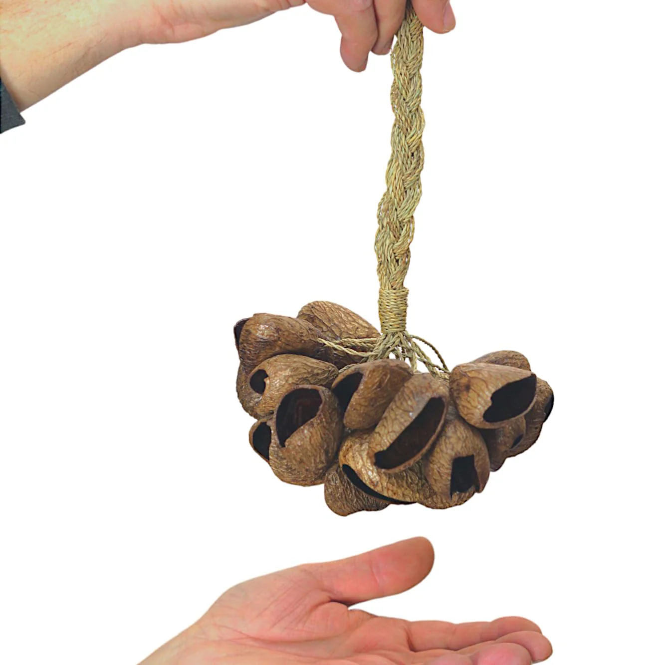 GMP Pangi Seed Shell Shaker/Nutshell Percussion Sound Effect, Comes with Rope Handle/Bamboo Handle, Authentic Traditional Rattle (Natural) Rope-Handle - Image 2