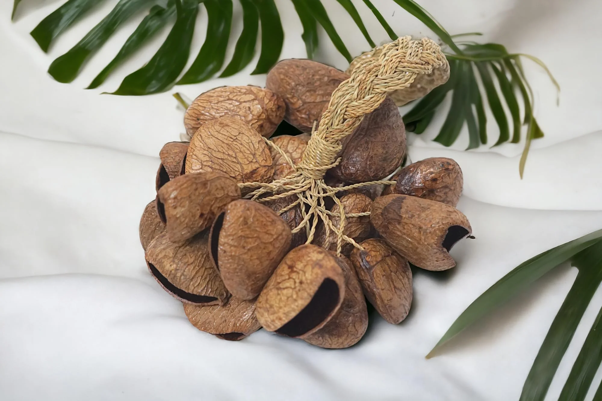 GMP Pangi Seed Shell Shaker/Nutshell Percussion Sound Effect, Comes with Rope Handle/Bamboo Handle, Authentic Traditional Rattle (Natural) Rope-Handle - Image 3
