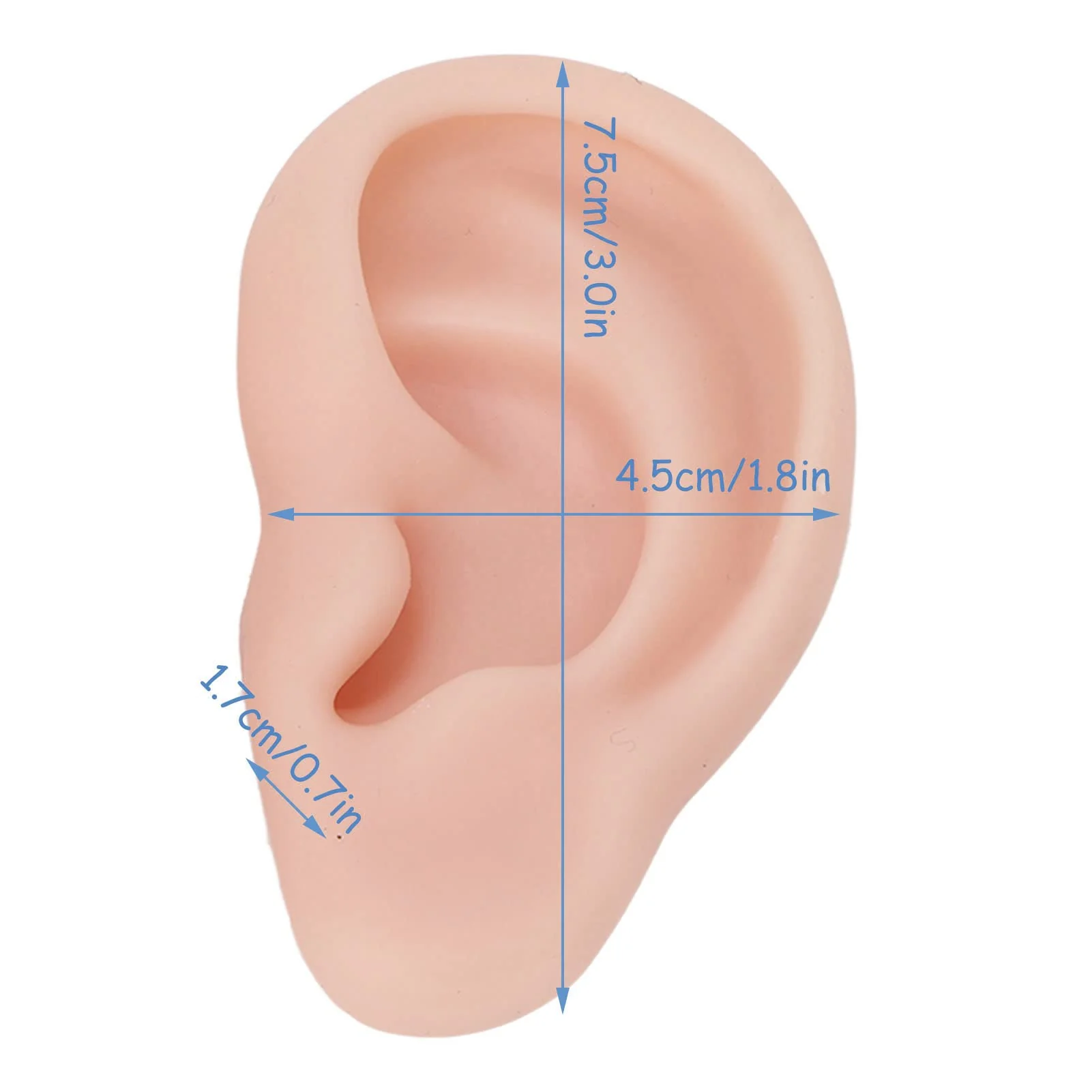 Human Ear Model, 1 Pair Soft Silicone Simulation Ear Model, Flexible Artificial Ear, Realistic Body Parts for Piercing Exercises, Earrings, Jewellery Display (2#) 2# - Image 7
