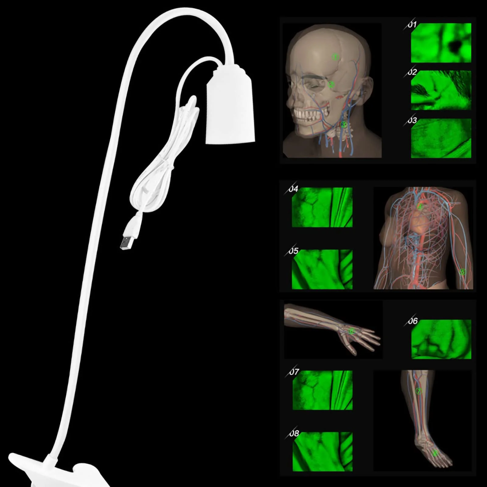 HURRISE Vein Finder Illuminates Imaging Vein Finder Transilluminator Permanent Vein Finder Display Machine Transilluminator Vein Finder for Hospital - Image 4