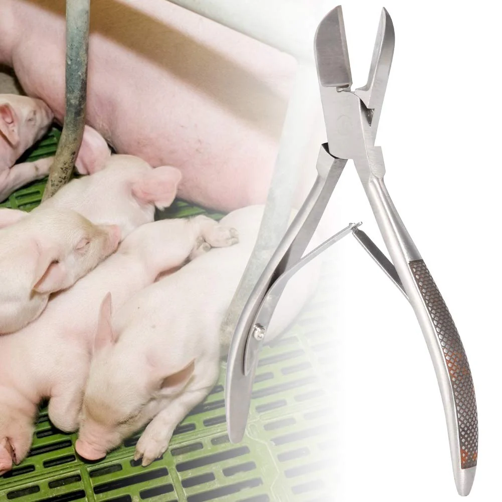 Jadpes Pig Piglet Teeth Clipper Tweezers, Stainless Steel Tooth Cutter Scissors for Dog Piglet Elbow Clipper Tweezers with Pig Catcher for Paparazzi Elbow Shrapnel and Pi - Image 2