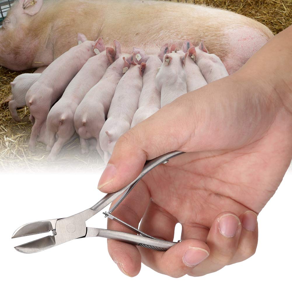 Jadpes Pig Piglet Teeth Clipper Tweezers, Stainless Steel Tooth Cutter Scissors for Dog Piglet Elbow Clipper Tweezers with Pig Catcher for Paparazzi Elbow Shrapnel and Pi - Image 3