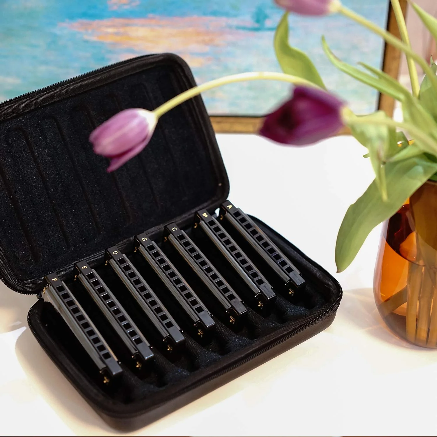 JDR Harmonica Set of 7 Key of C D E F G A Bb 10 Holes 20 Tones Blues Harp Diatonic Mouth Organ armonica with EVA Protective Case for Adults Kids Beginner Professional Intermediate Student Gift Black C D E F G A and Bb - Image 2