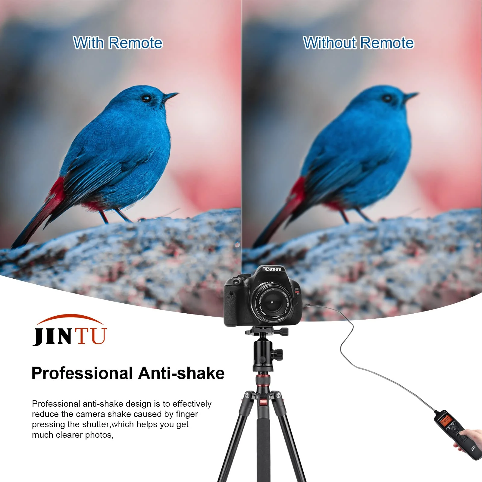 JINTU Intervalometer Timer Remote Control Shutter Release for Canon EOS Rebel T6 T7 T8i T7i T6i T6s SL3 SL2 XTi XS XSi T1i T2i T3 T3i T4i T5 T5i 2000D 90D 80D 70D 77D 1300D 60D 50D 1100D 1000D 550D - Image 3