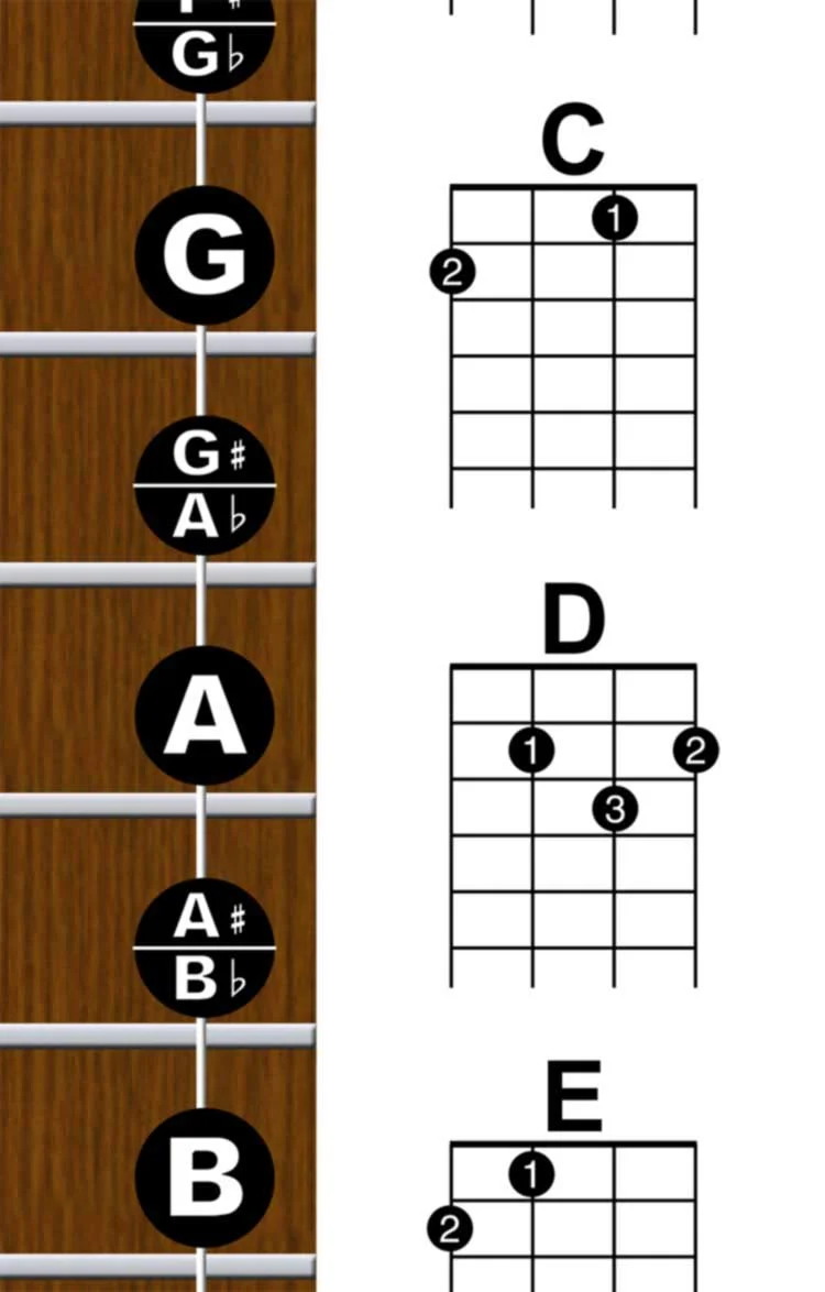 Laminated Baritone Ukulele Fretboard & Chord Chart Easy Instructional Poster Bari Uke Notebook 8.5"x11" | A New Song Music - Image 4
