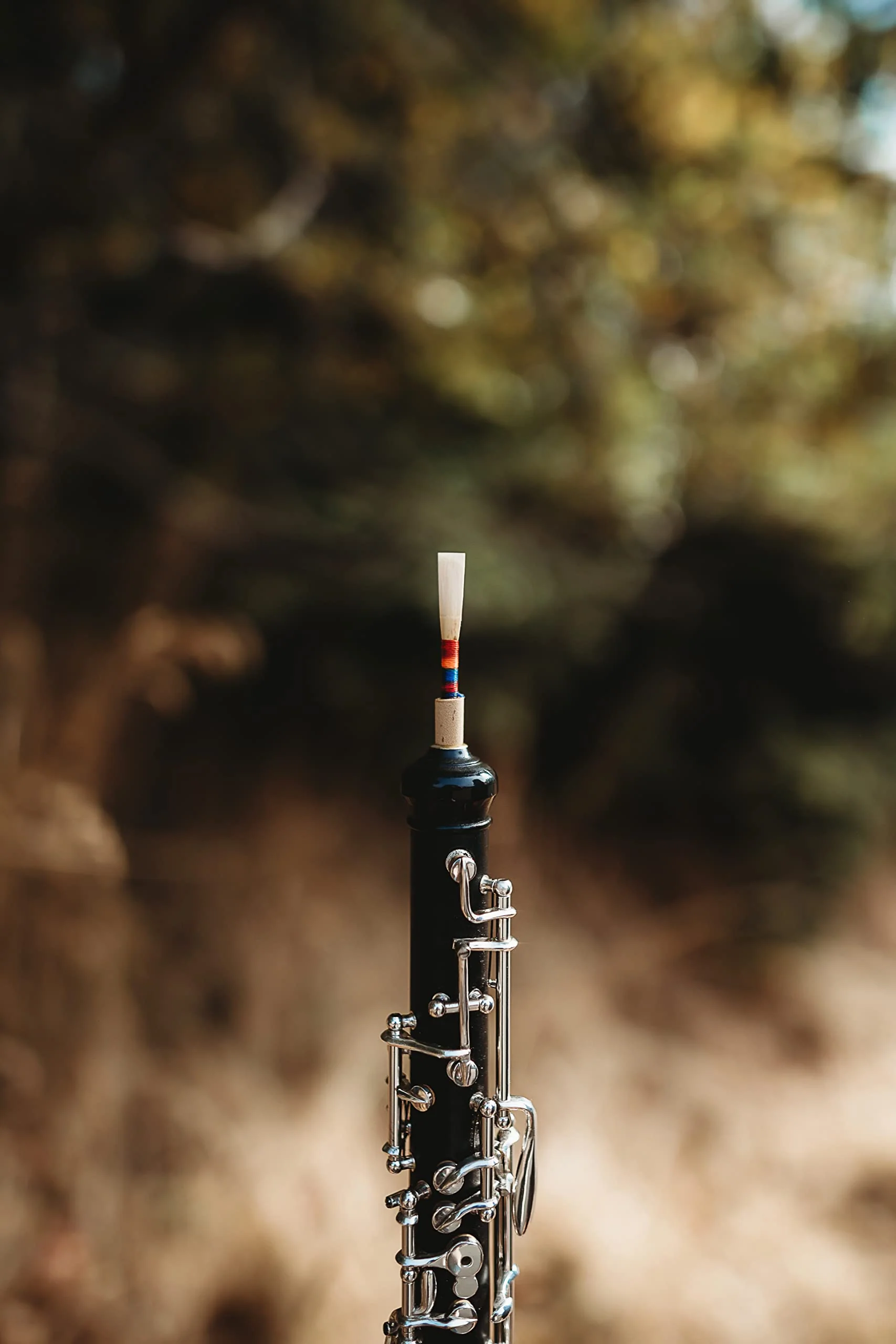 Marlin Lesher Oboe Reed-Soft - Image 3