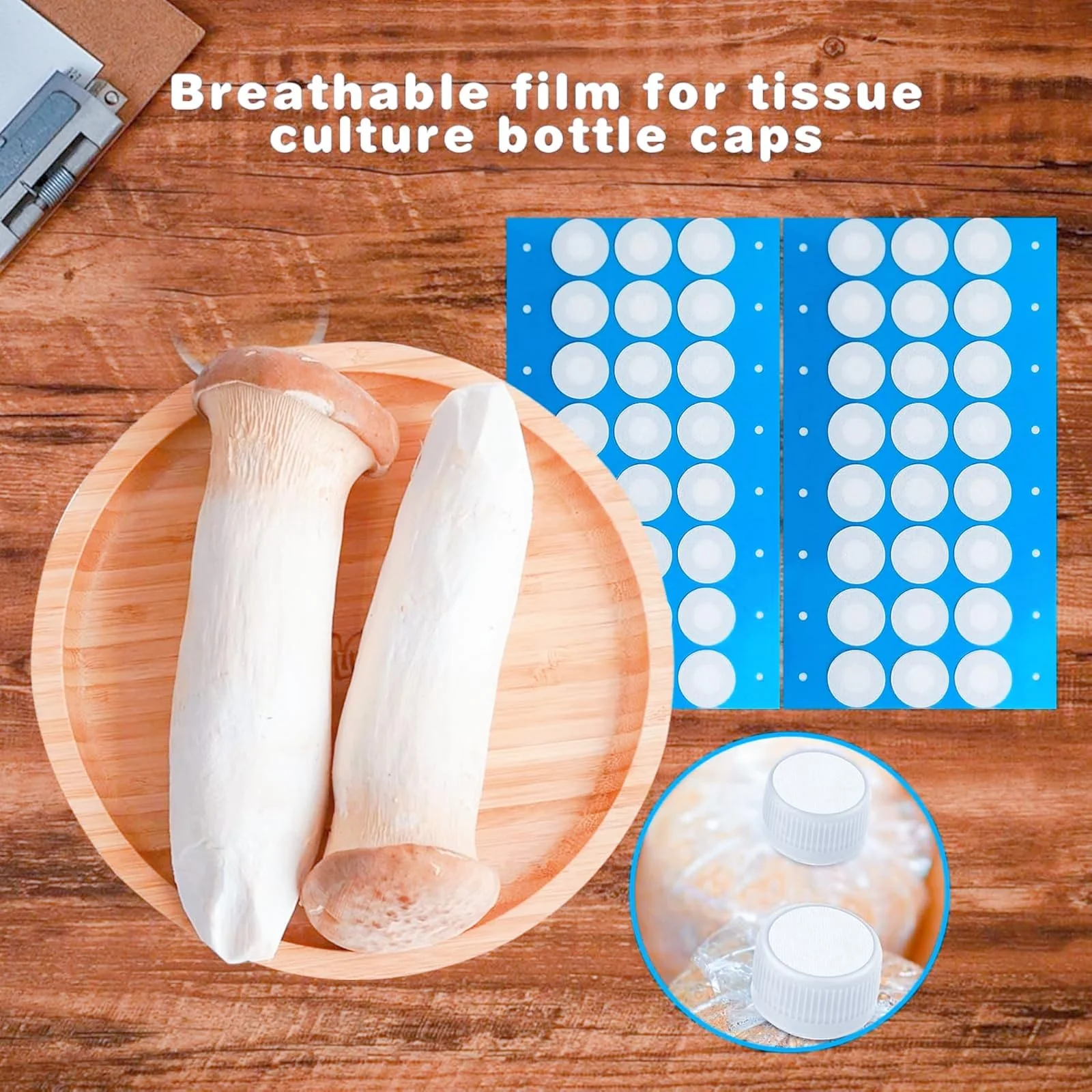 Mason Jars High Quality Pack of 144 Filter Paper Stickers - Strong Adhesion, Ideal for Mushroom Growing, Perfect Mouth Bands - Image 6