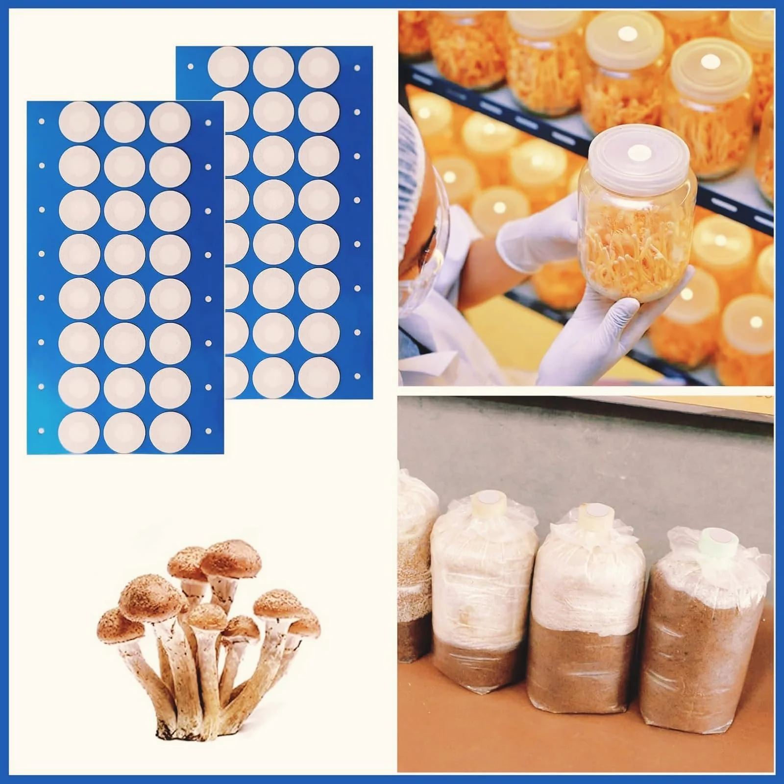 Mason Jars High Quality Pack of 144 Filter Paper Stickers - Strong Adhesion, Ideal for Mushroom Growing, Perfect Mouth Bands - Image 7