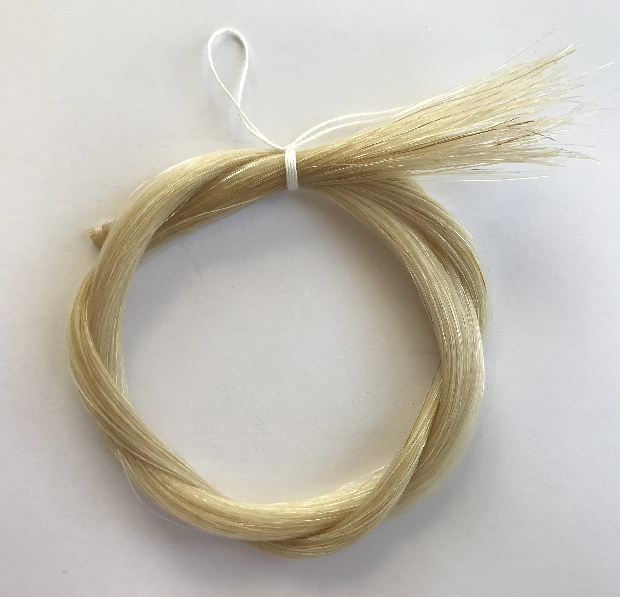 MI&VI Extra Thick Mongolian Horse Hair, Perfect for Cello Bows - Unbleached, White 29.5" (1 Hank, Prepared, Includes Plug and Wedge) (Cello - 1 Hank) Cello - 1 Hank - Image 2