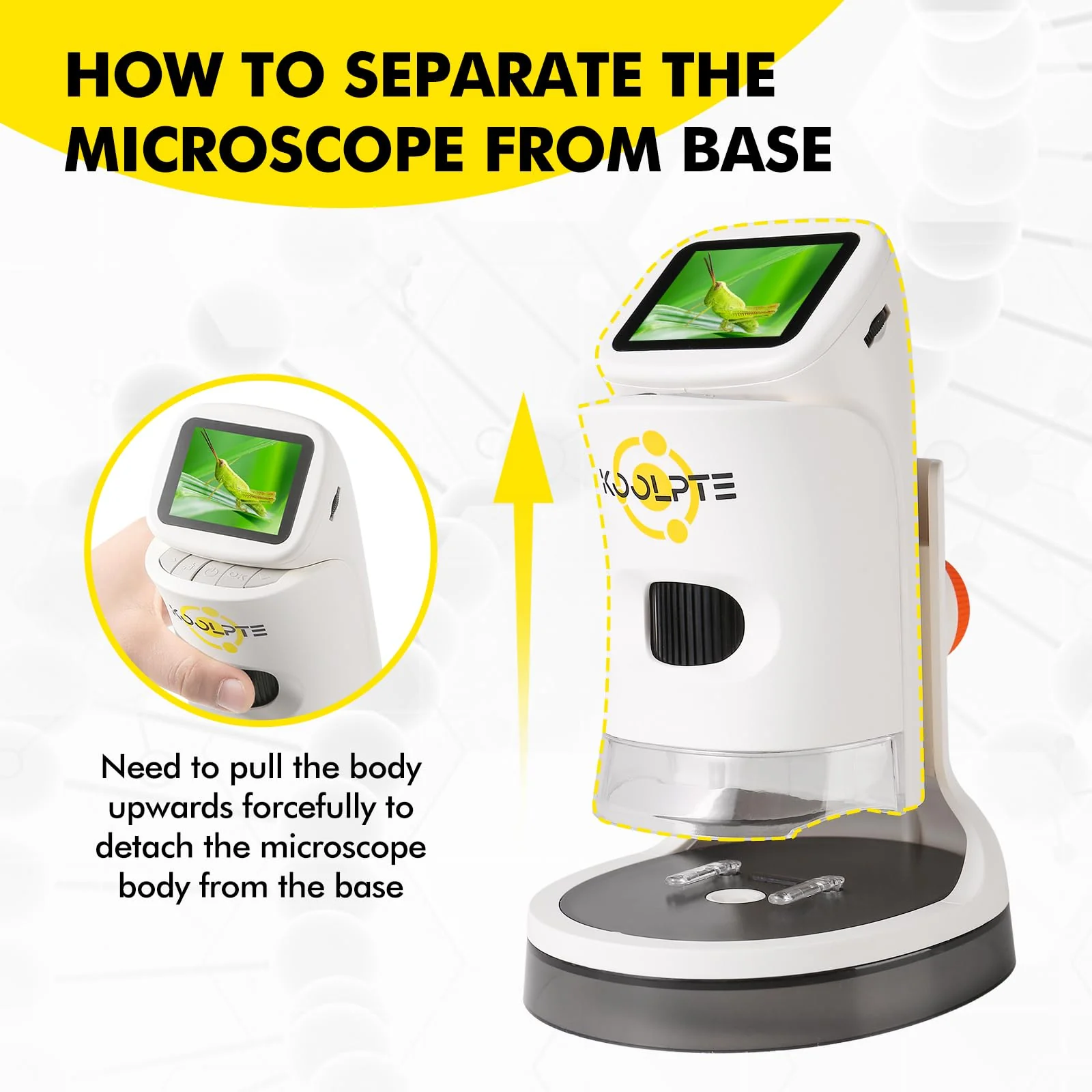 Microscope, 2''LCD Screen Microscopes for Kids,100-1000X Pocket Kids Microscope, Mini Microscope Science Kits for Kids, Handheld Miniscope for Kids 8-12 Birthday School Edu Gifts,White - Image 4