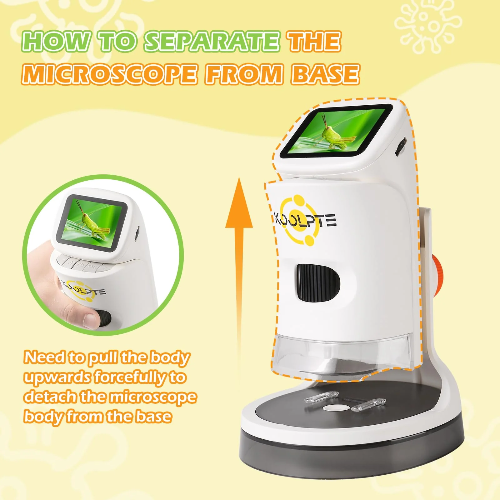 Microscope for Kids, 1000X HD Pocket Kids Microscope, 2.1'' LCD Screen Mini Micrscope for Kids 8-12, Science Mini Scope Toy Kits, Handheld Miniscope Educational Gifts for Kids, 32 GB TF Card Included Warm White - Image 5