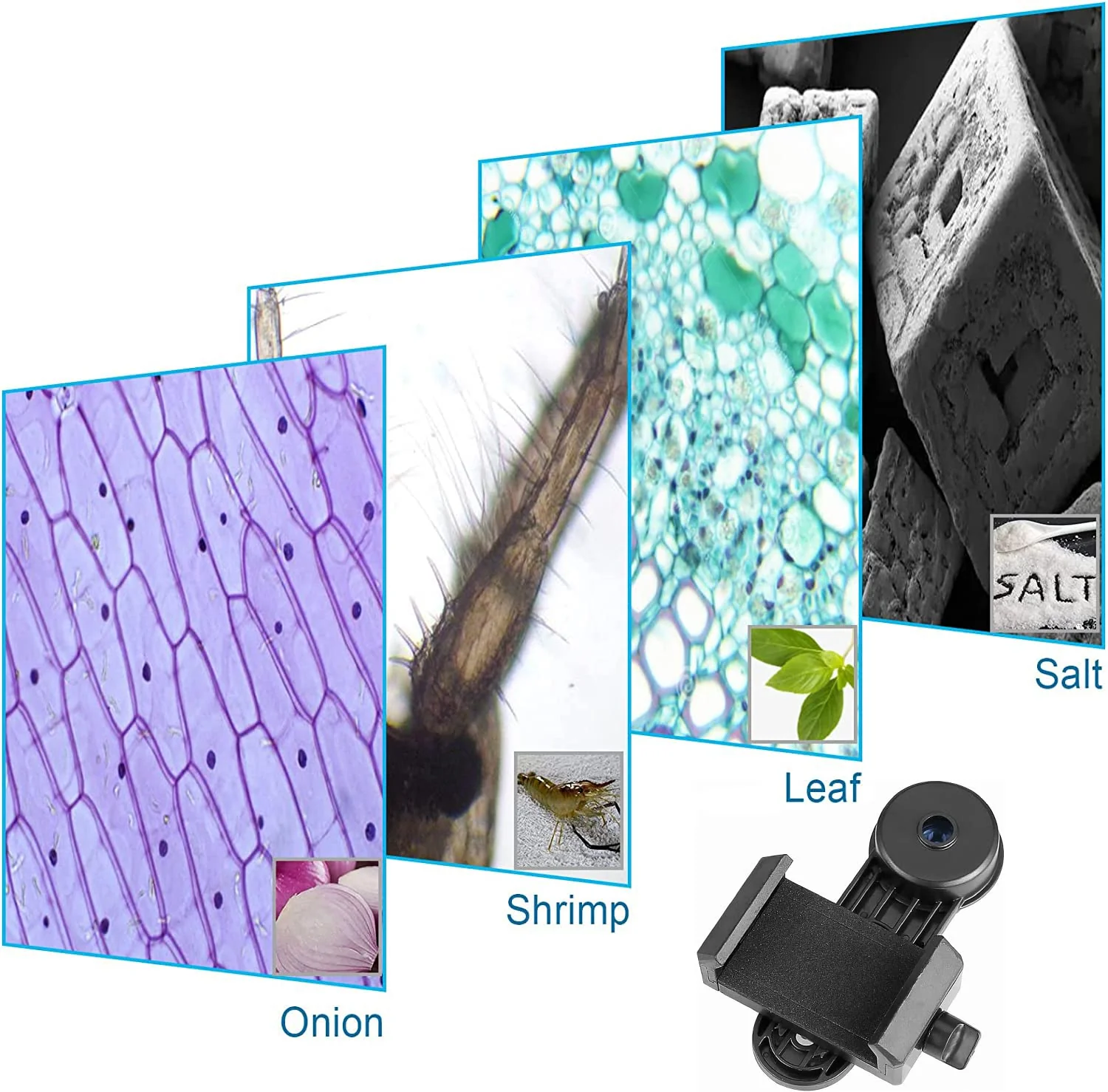 Microscope Lens Smartphone Adapter- Microscope Cellphone Camera Adapter, Built-in WF16X Microscope Eyepiece- Celticbird Smartphone Camera Adapter for Microscope Eyepiece Tube 23.2mm - Image 7