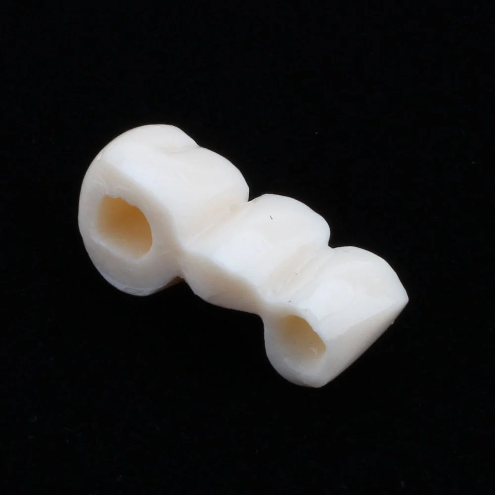 Model of Dentist Training, Dental Implant Disease Teaching Study Analysis Adult Typodont Demonstration Teeth Model New - Image 9