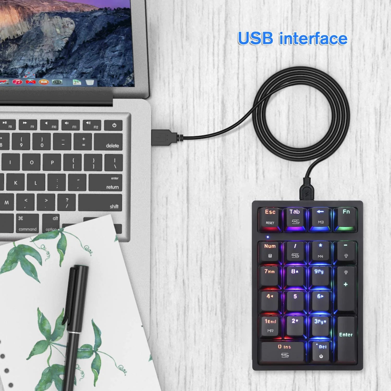 MOTOSPEED Macro Mechanical Numeric Keypad USB Wired 21 Keys Mini Numpad Portable Keypad RGB Backlight Gaming Keypad Extended Layout for Cashier(Fully Programmable Keys) Classic Black red switch - Image 6