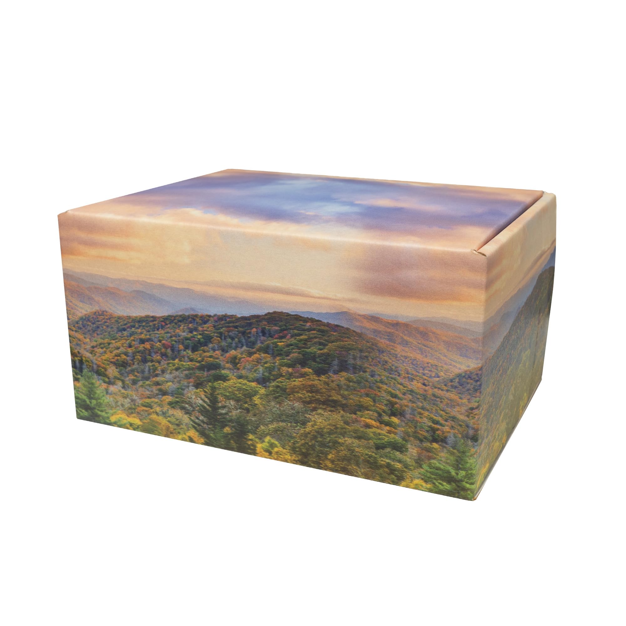 Mountain Themed TSA Approved Fly-Safe and Temporary Travel Cremation Urn Kit for Human Ashes - Airline and Mail Friendly - 200 Cubic Inch Capacity - Green Plastic Urn with Mountains Mailing Box Mountain - Image 8